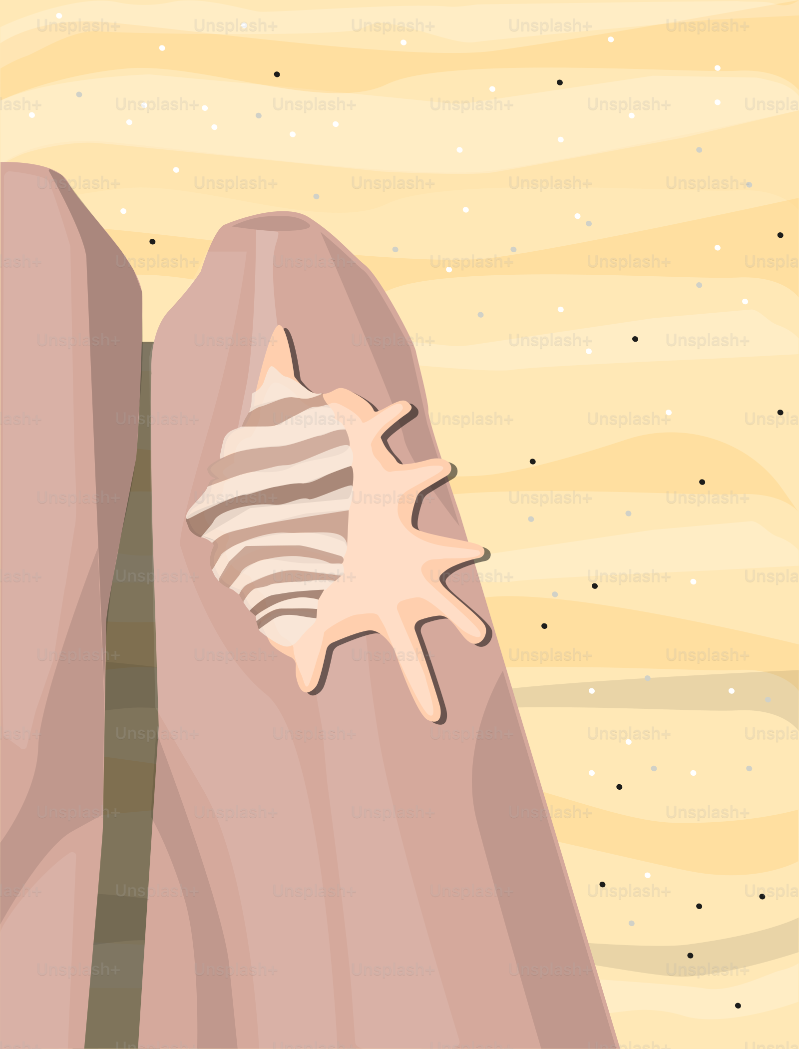 A drawing of a pair of shoes with a starfish on them