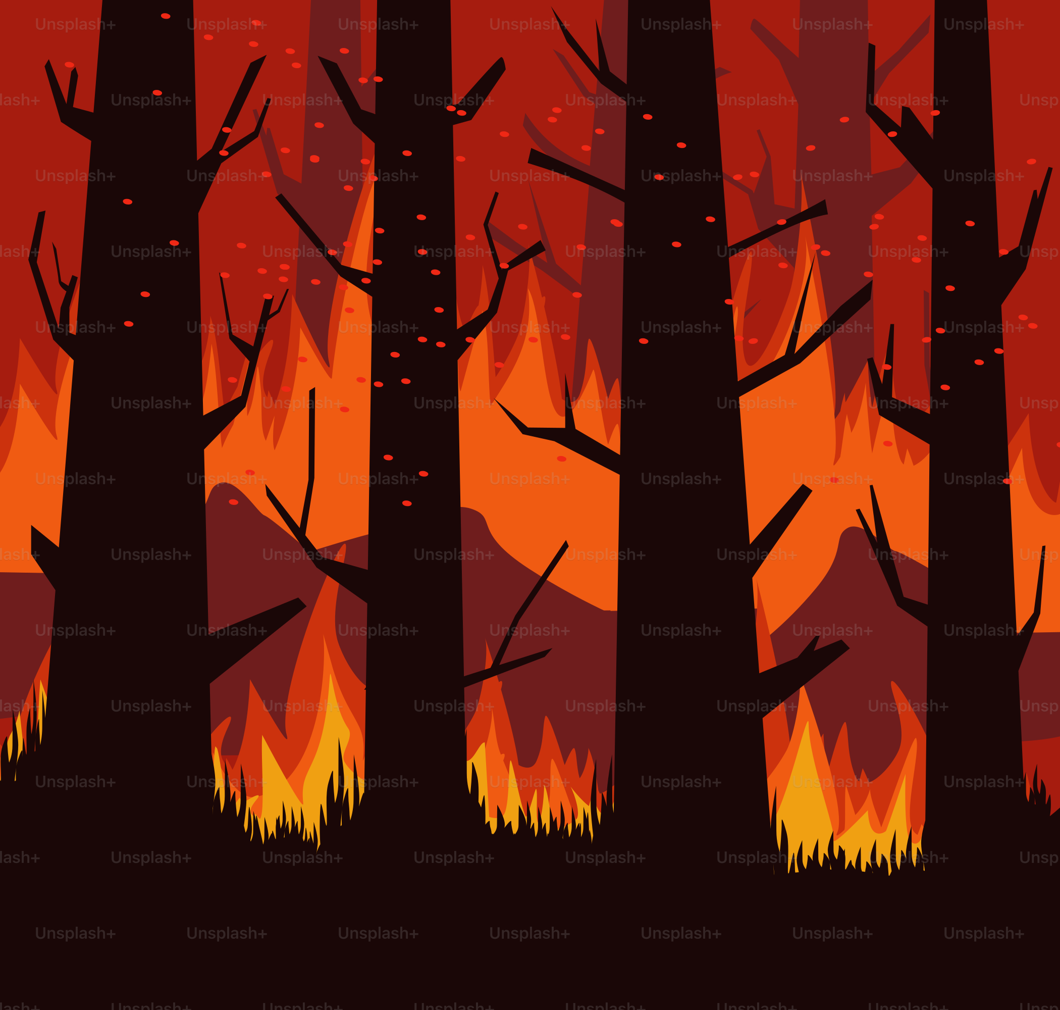 Un bosque lleno de muchos árboles junto a una hoguera