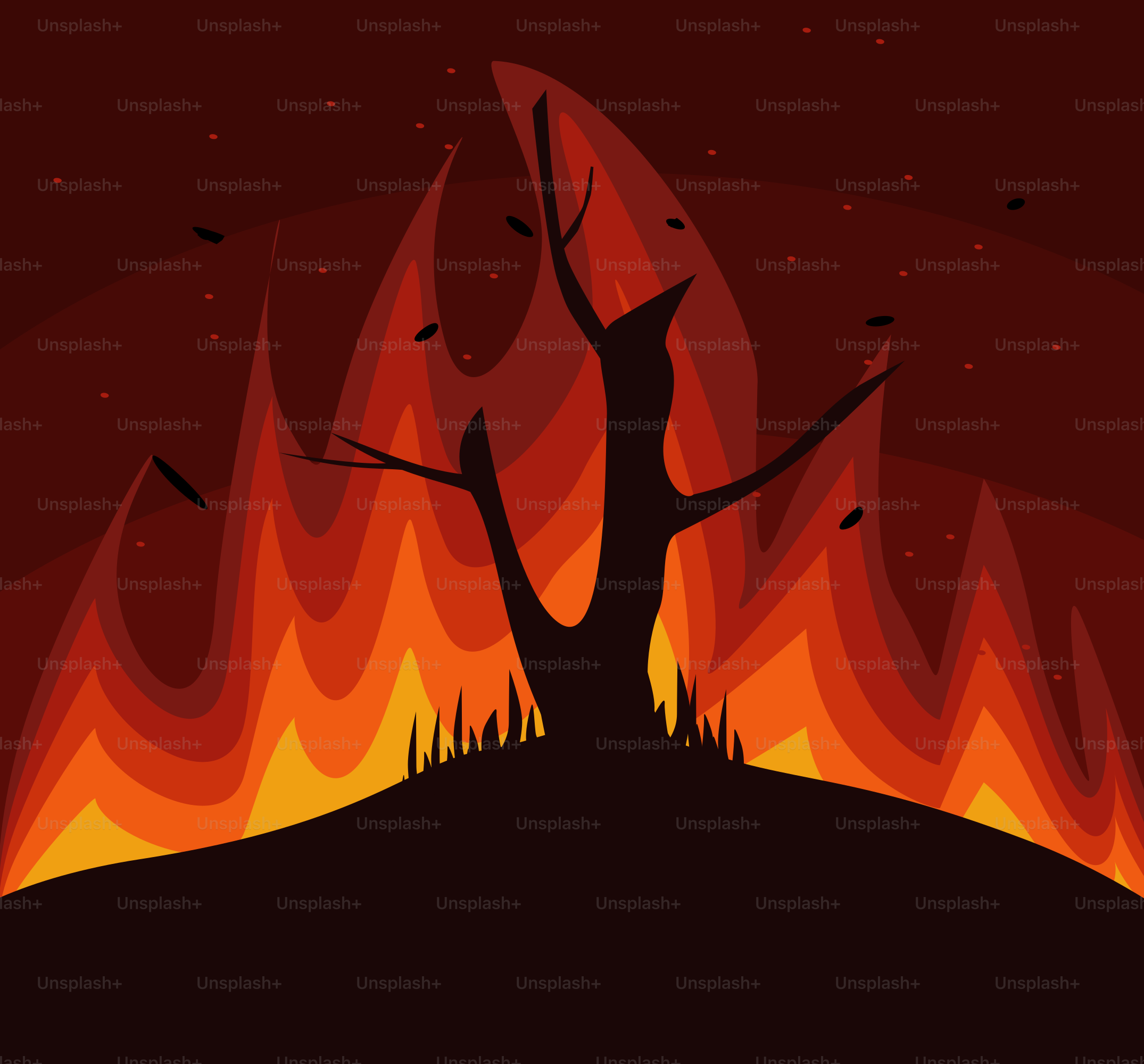 Un árbol en una colina frente a un fuego