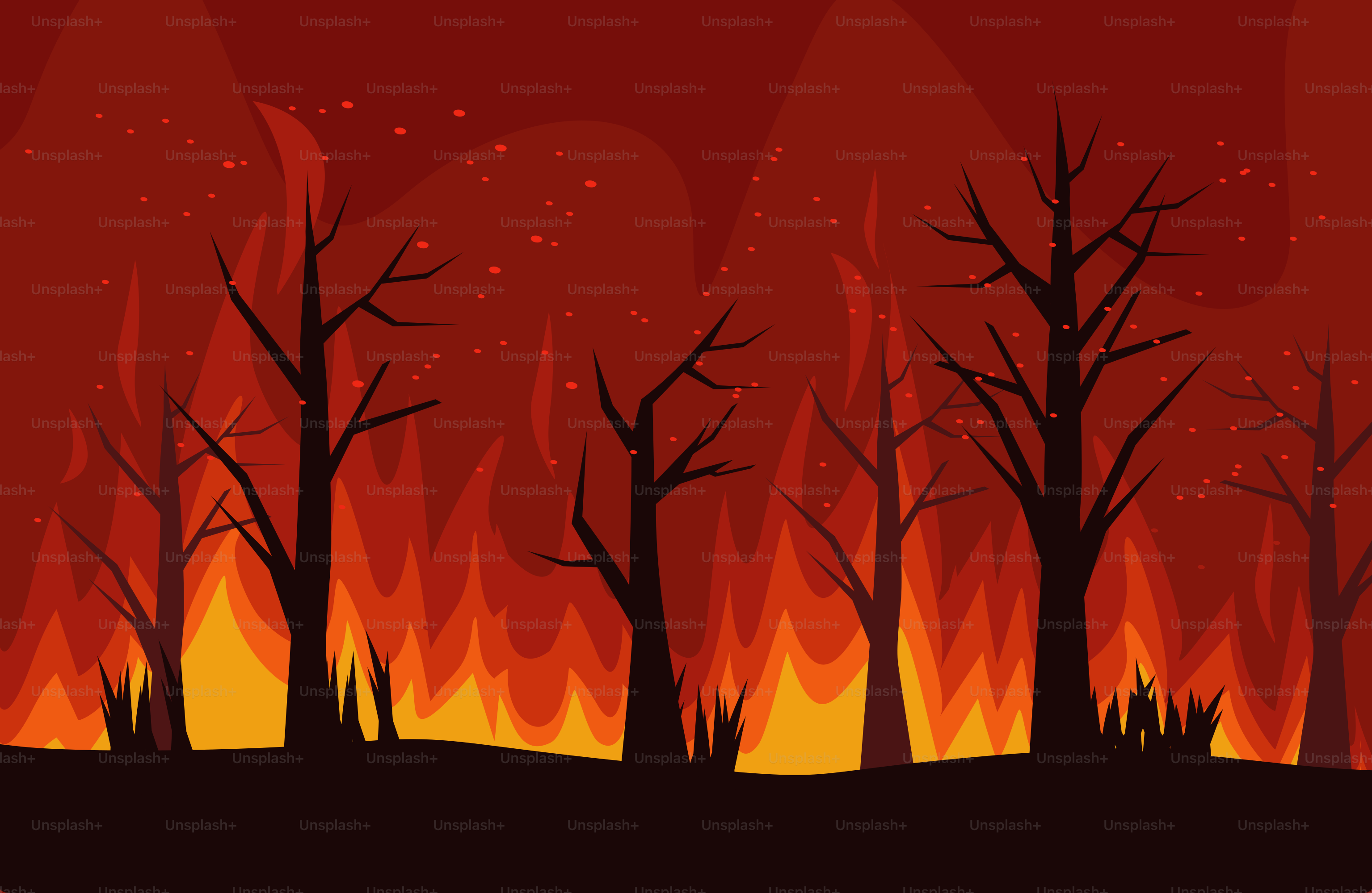 Un fuego ardiendo en un bosque con muchos árboles