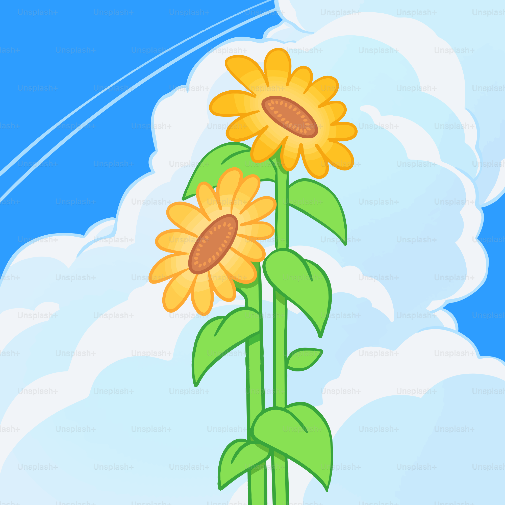 A picture of a sunflower on a sunny day