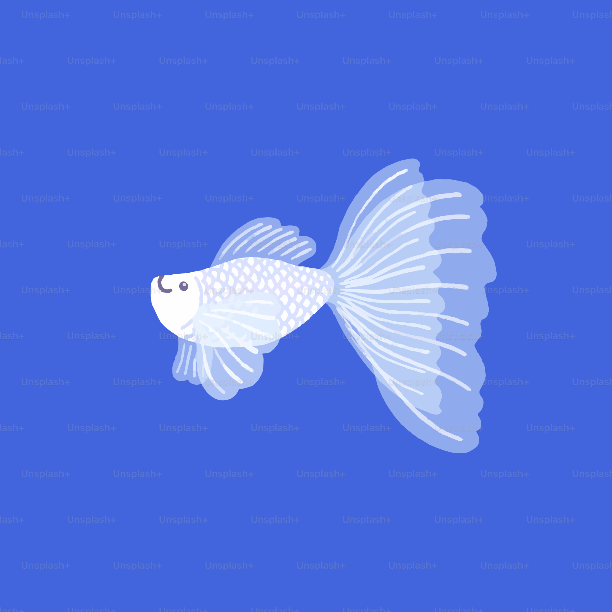 Un pez blanco sobre fondo azul