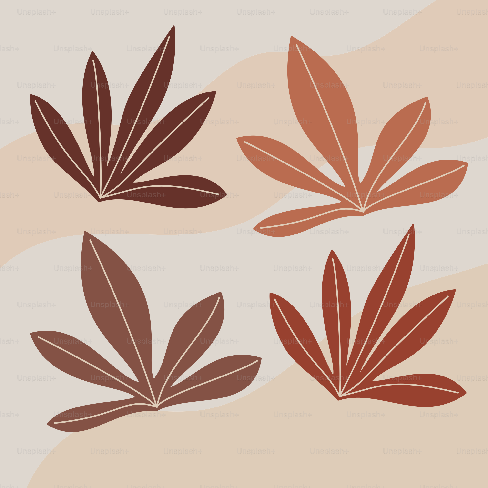 A set of four leaves on a beige background