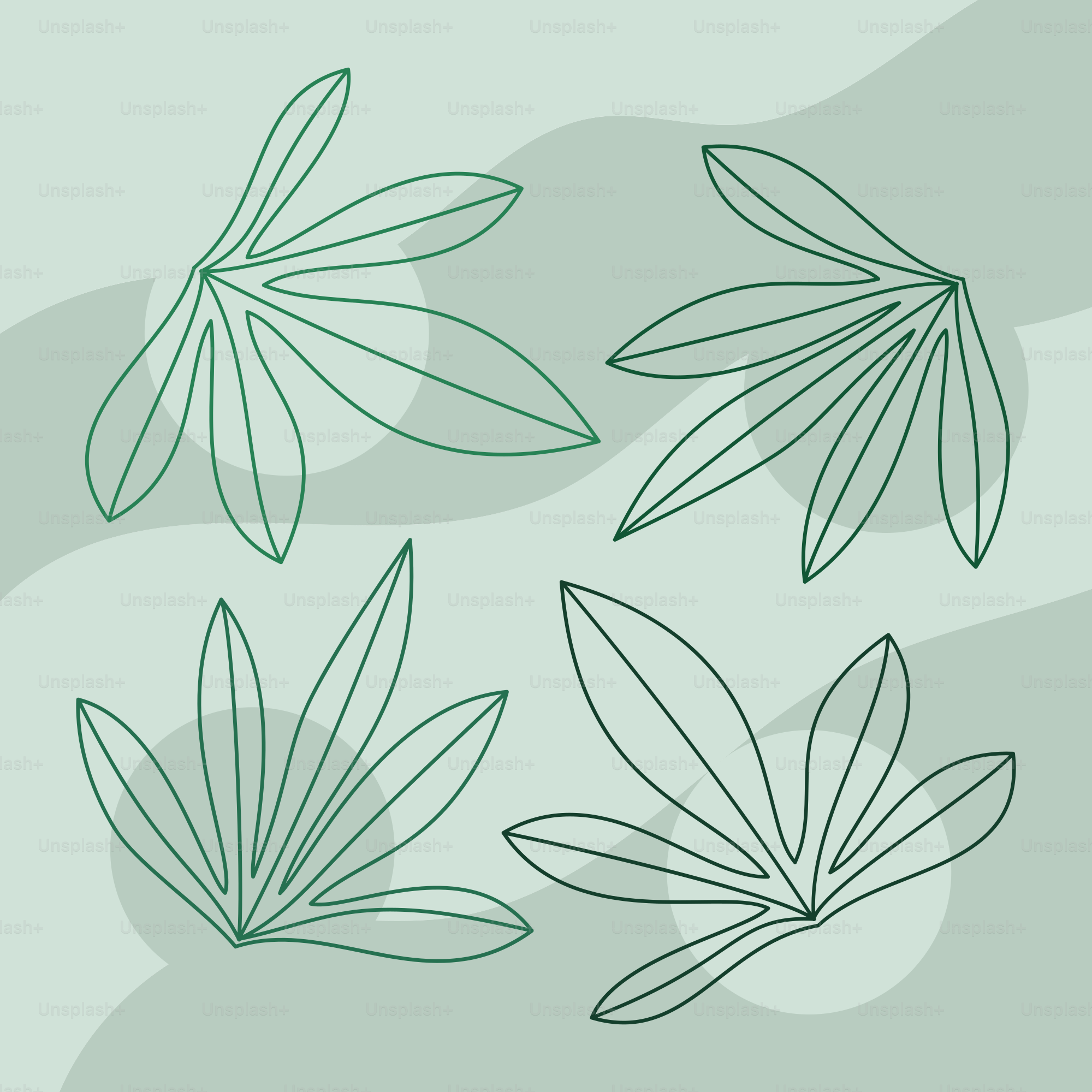 A picture of leaves on a green background