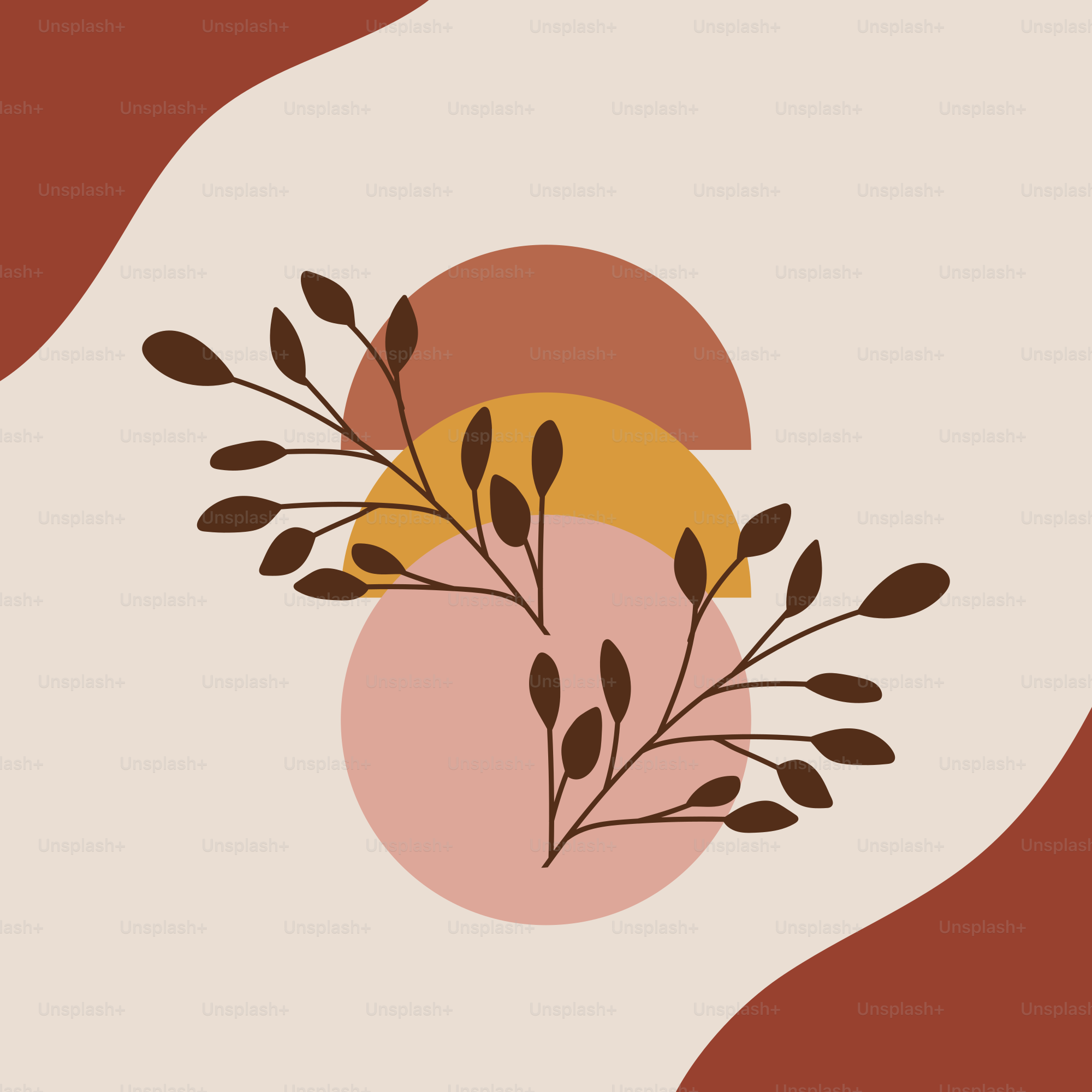 A hand holding a plant with brown leaves