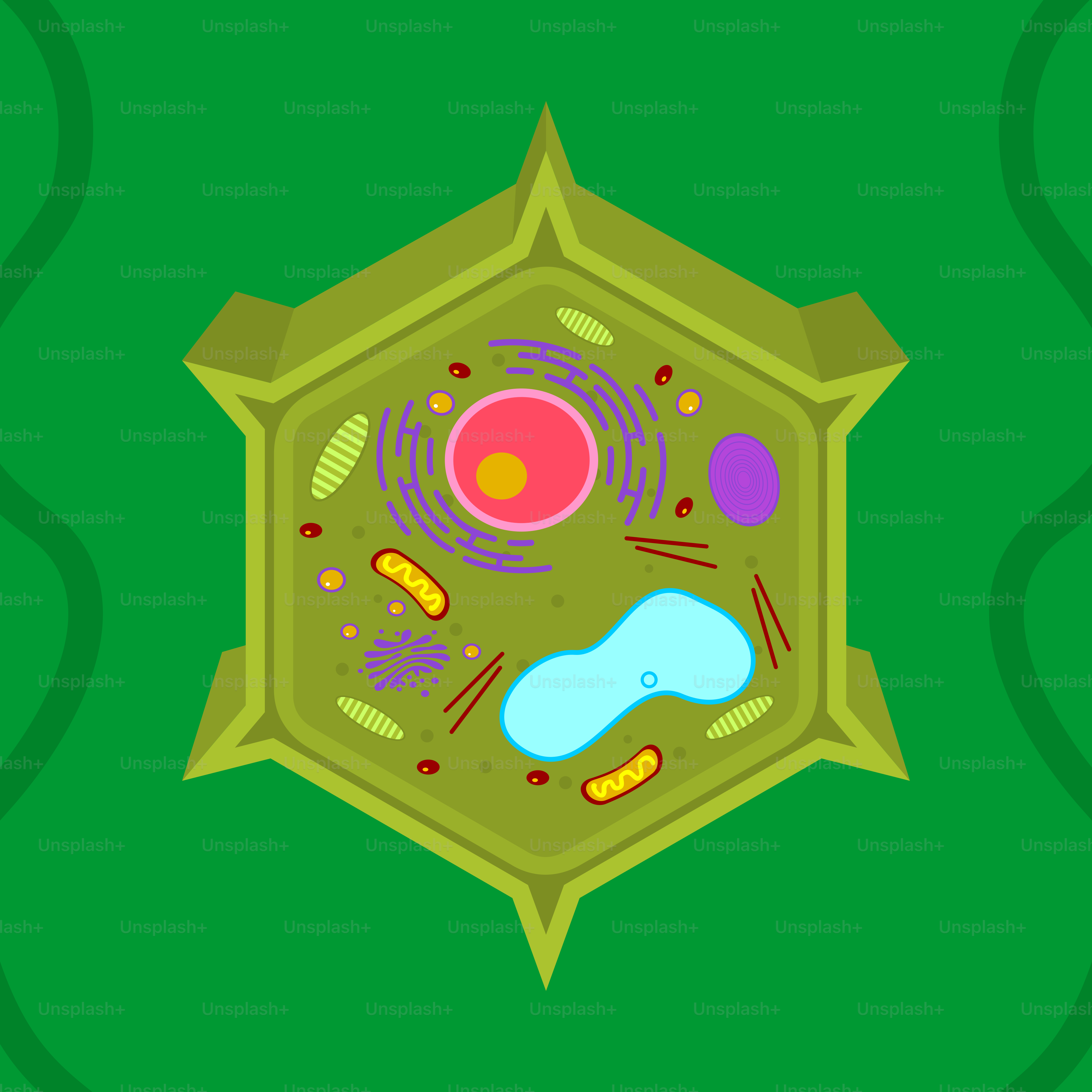 A computer generated image of a plant cell