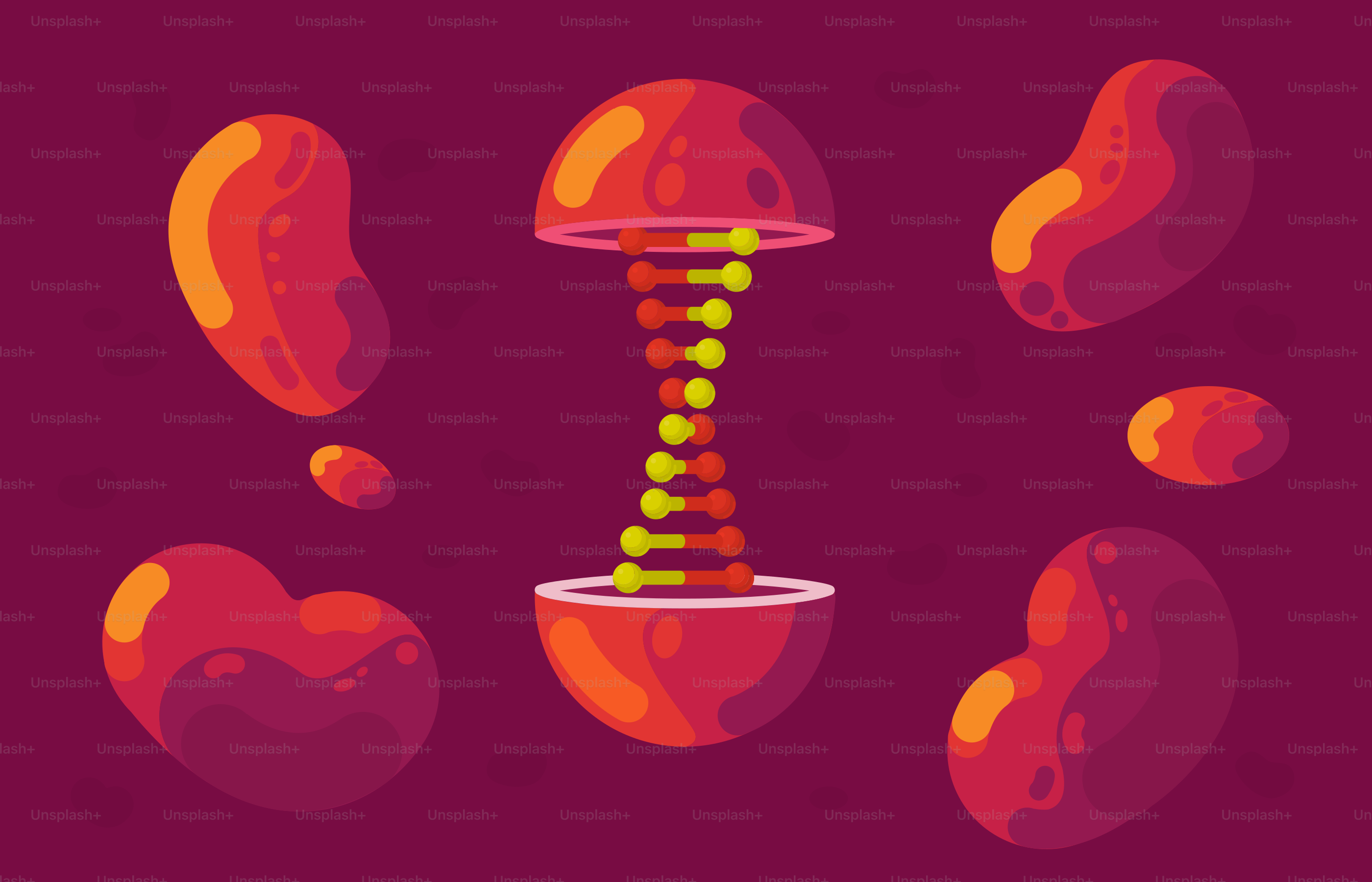 A book cover with an image of a strange object in the middle of it