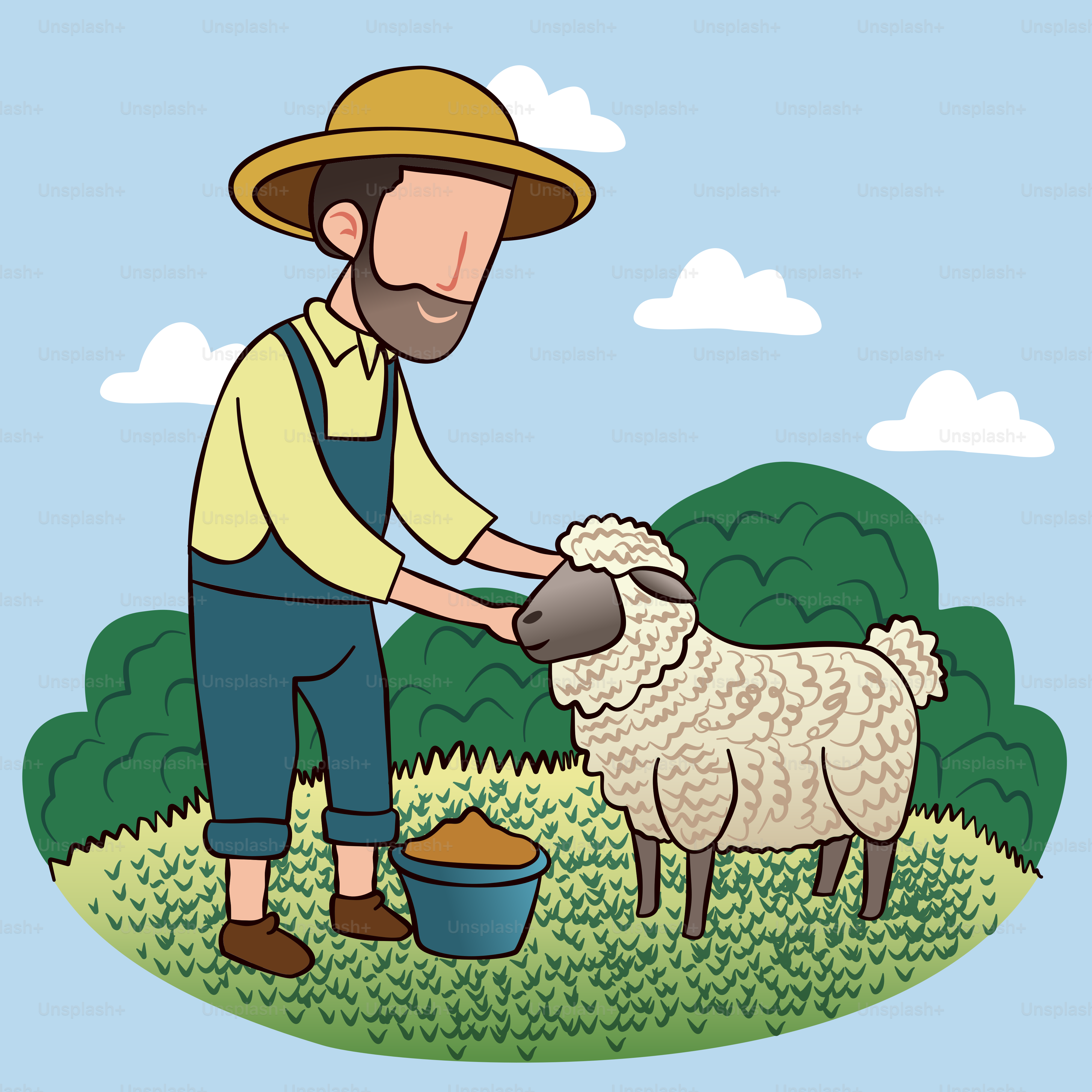 A man is feeding a sheep in a field