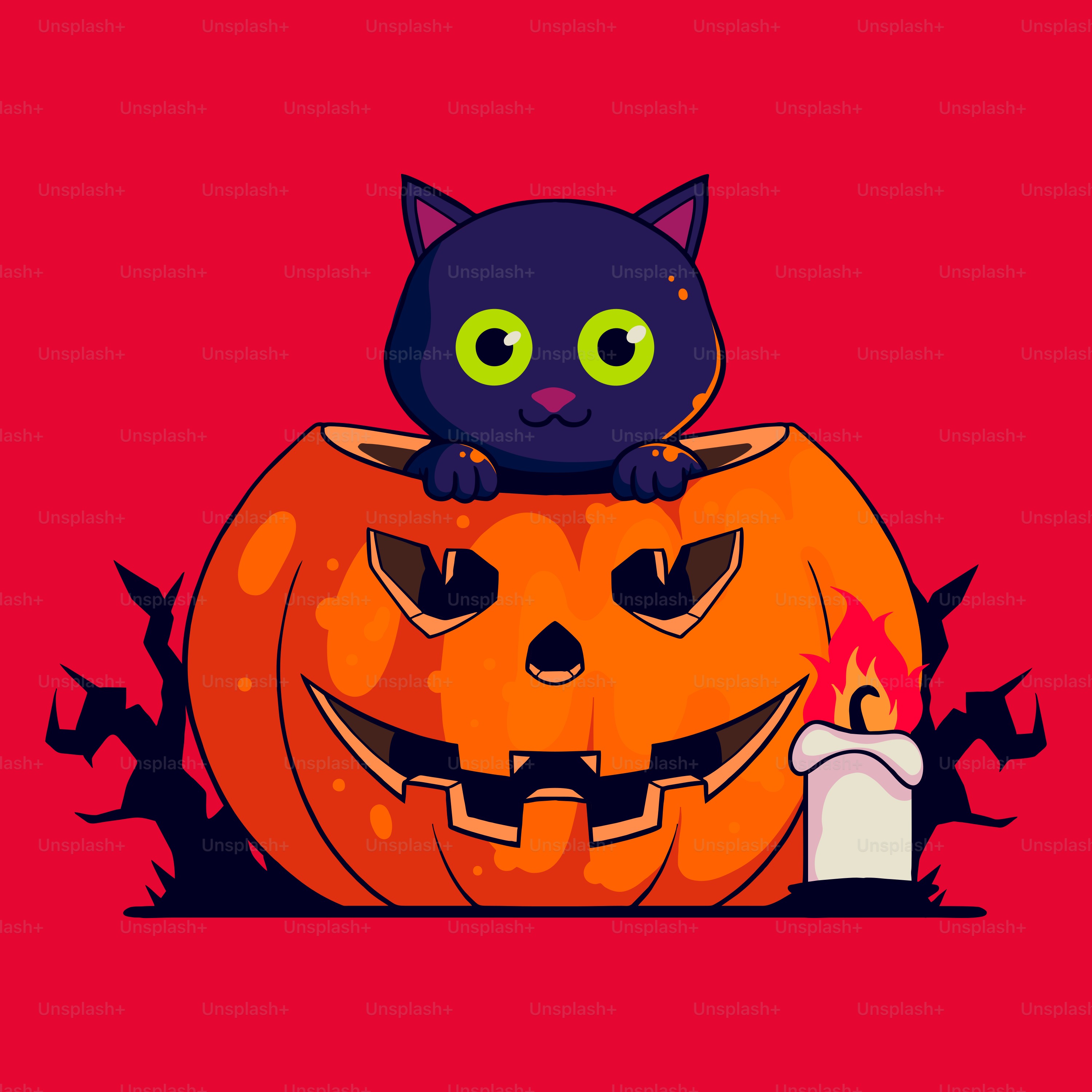 A black cat sitting on top of a pumpkin