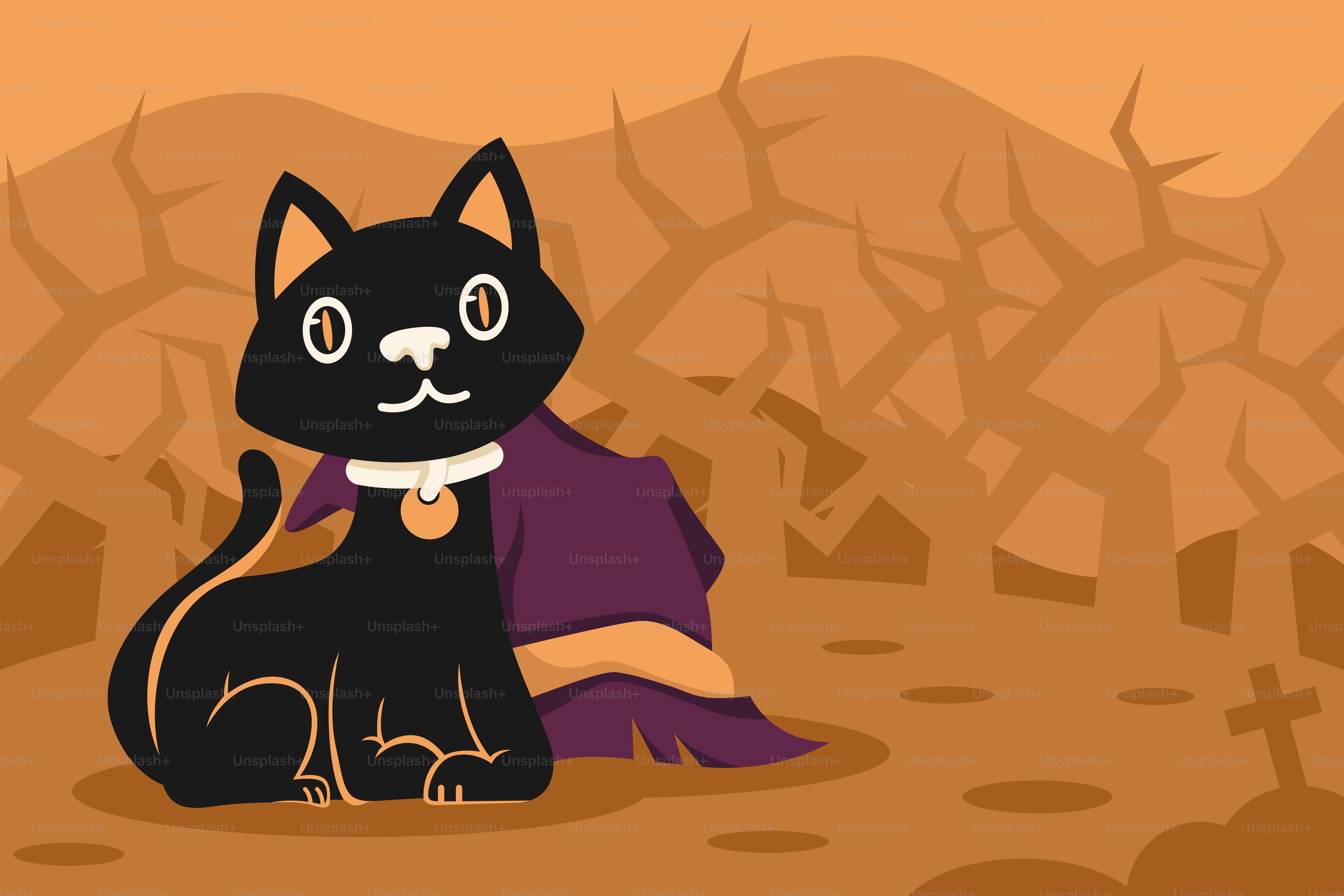 A black cat sitting in the middle of a desert