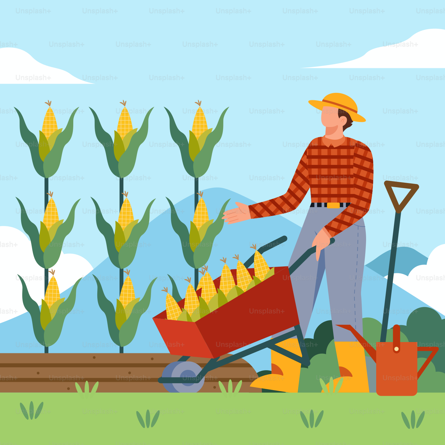 A man with a wheelbarrow full of corn