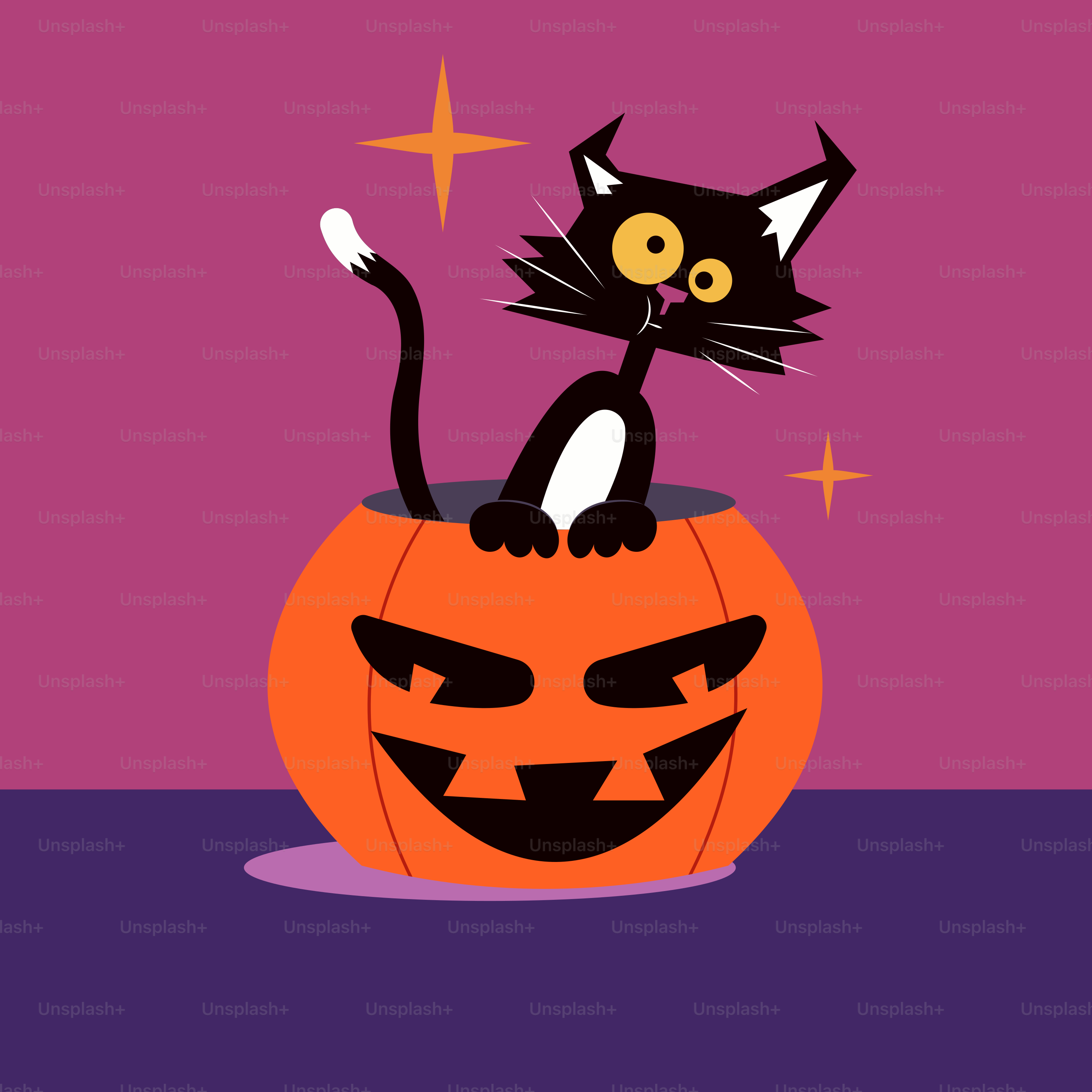 Un gatto nero seduto sopra una zucca