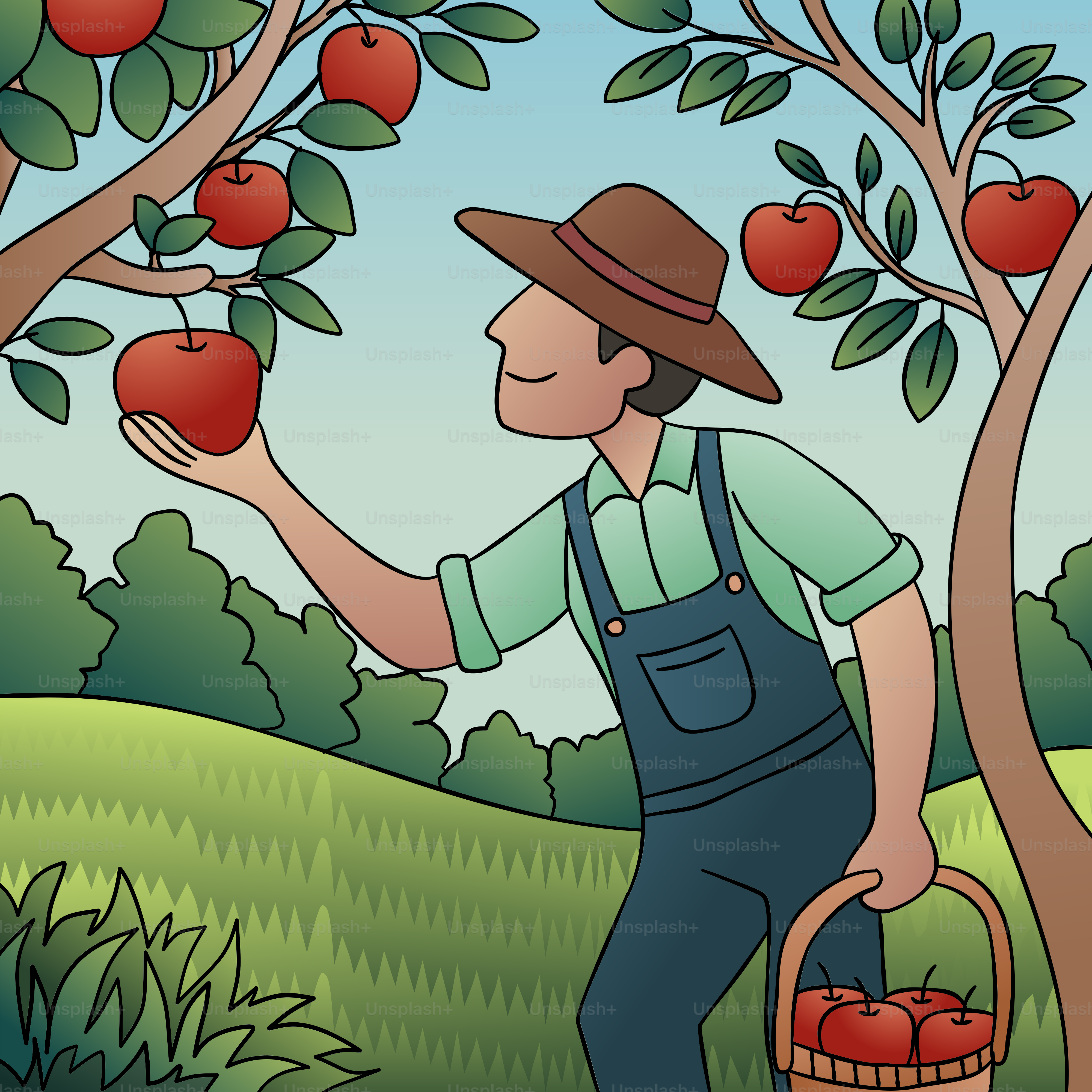 A man is picking apples from a tree