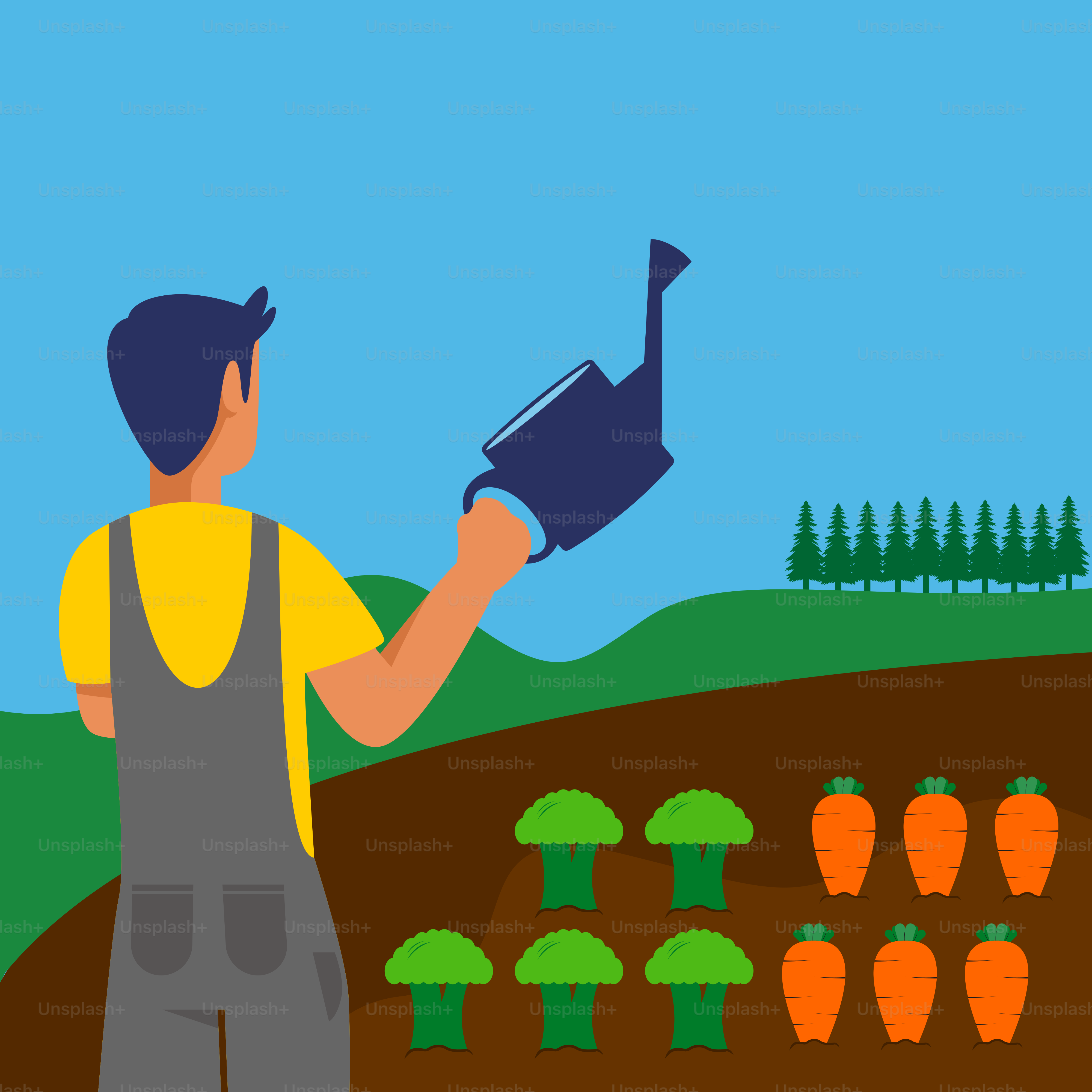 A man standing in front of a field with carrots