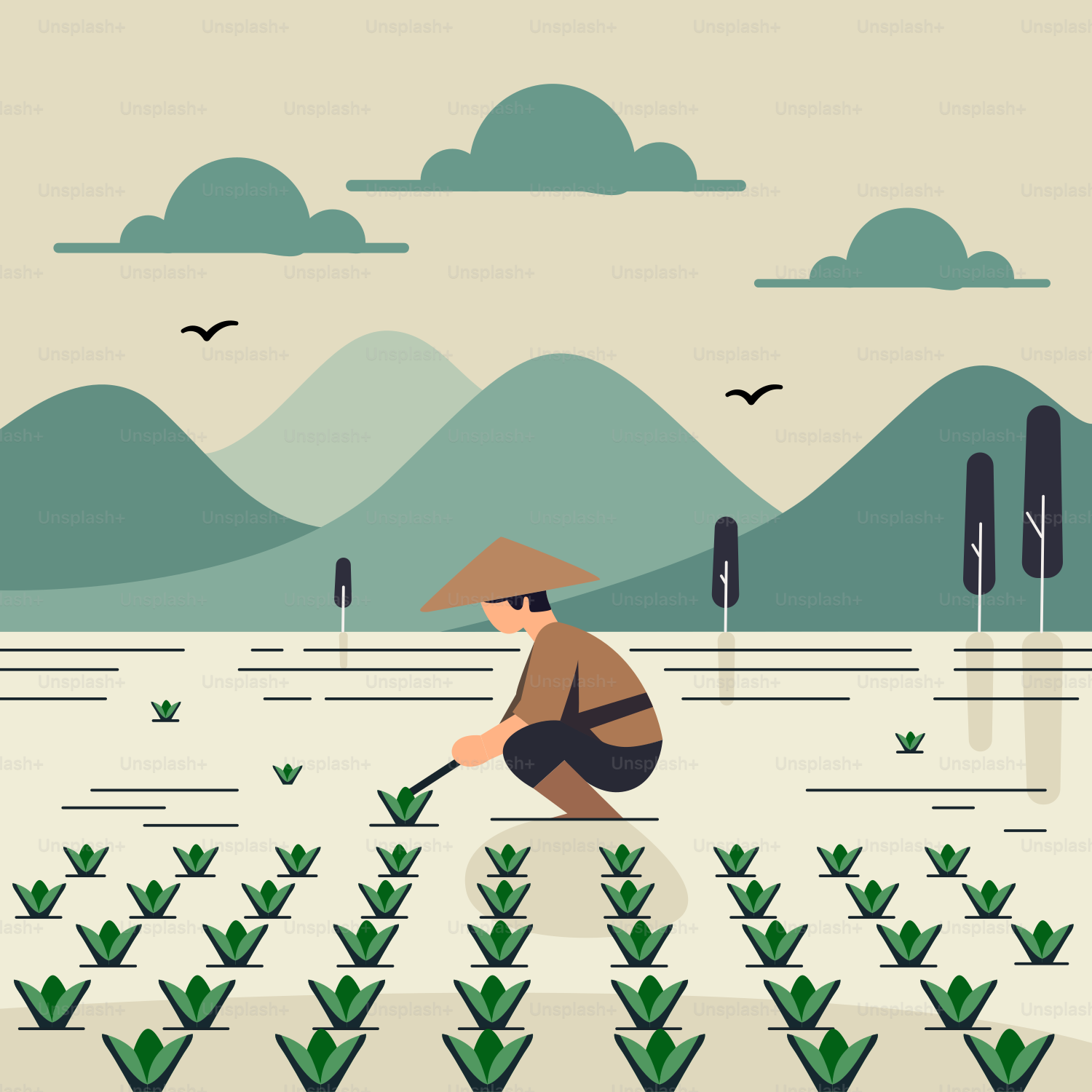 A man kneeling down in a field of plants