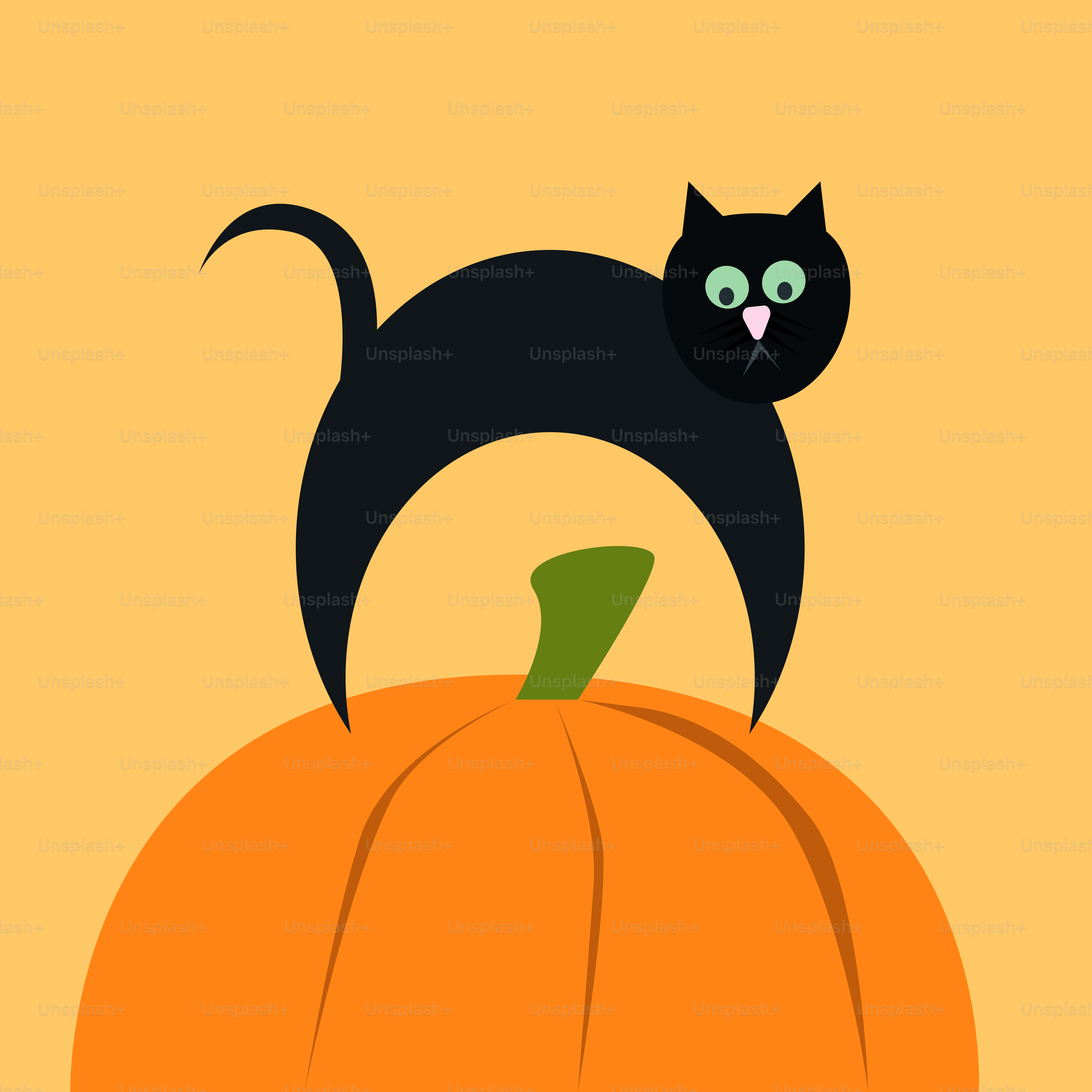 A black cat sitting on top of a pumpkin