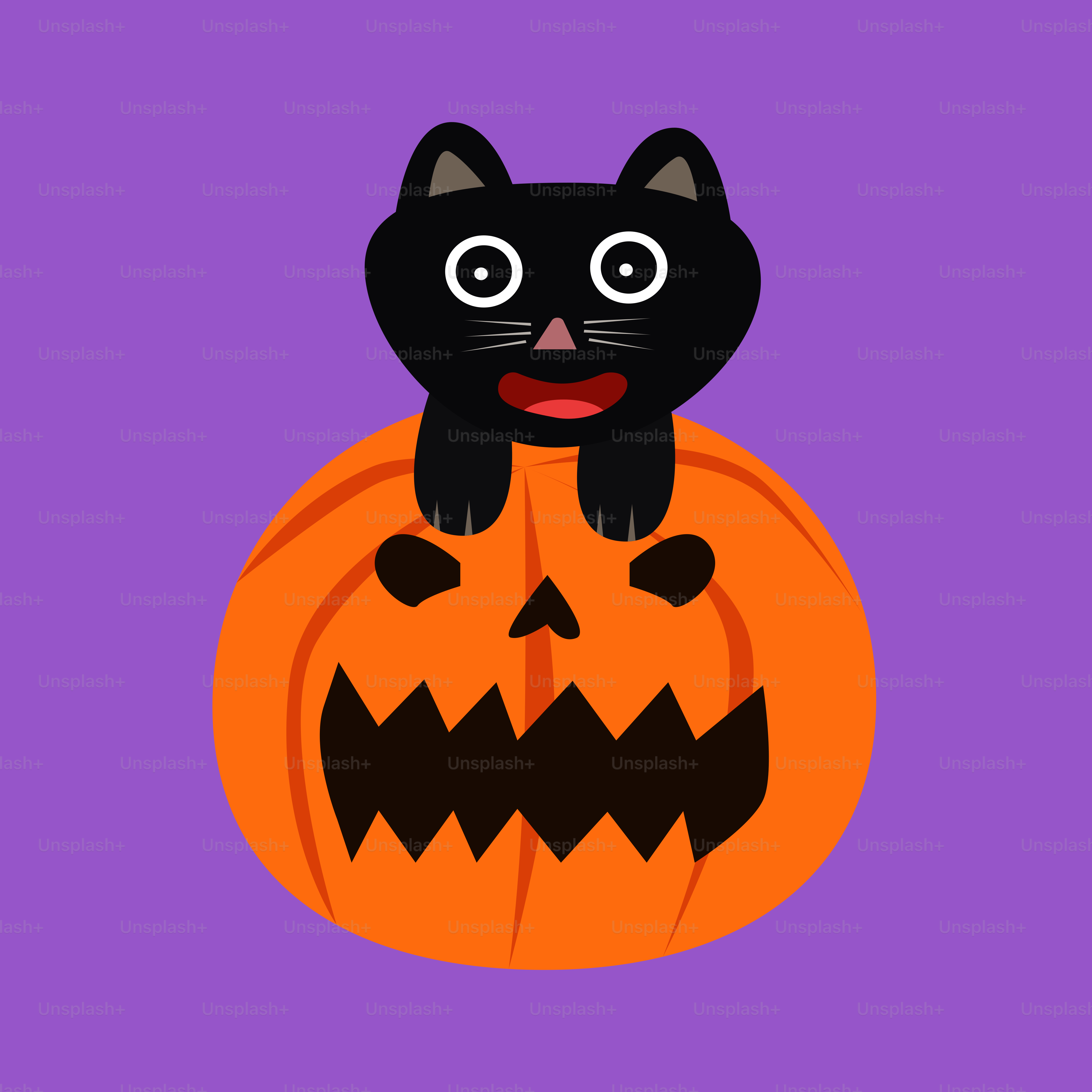 A black cat sitting on top of a pumpkin