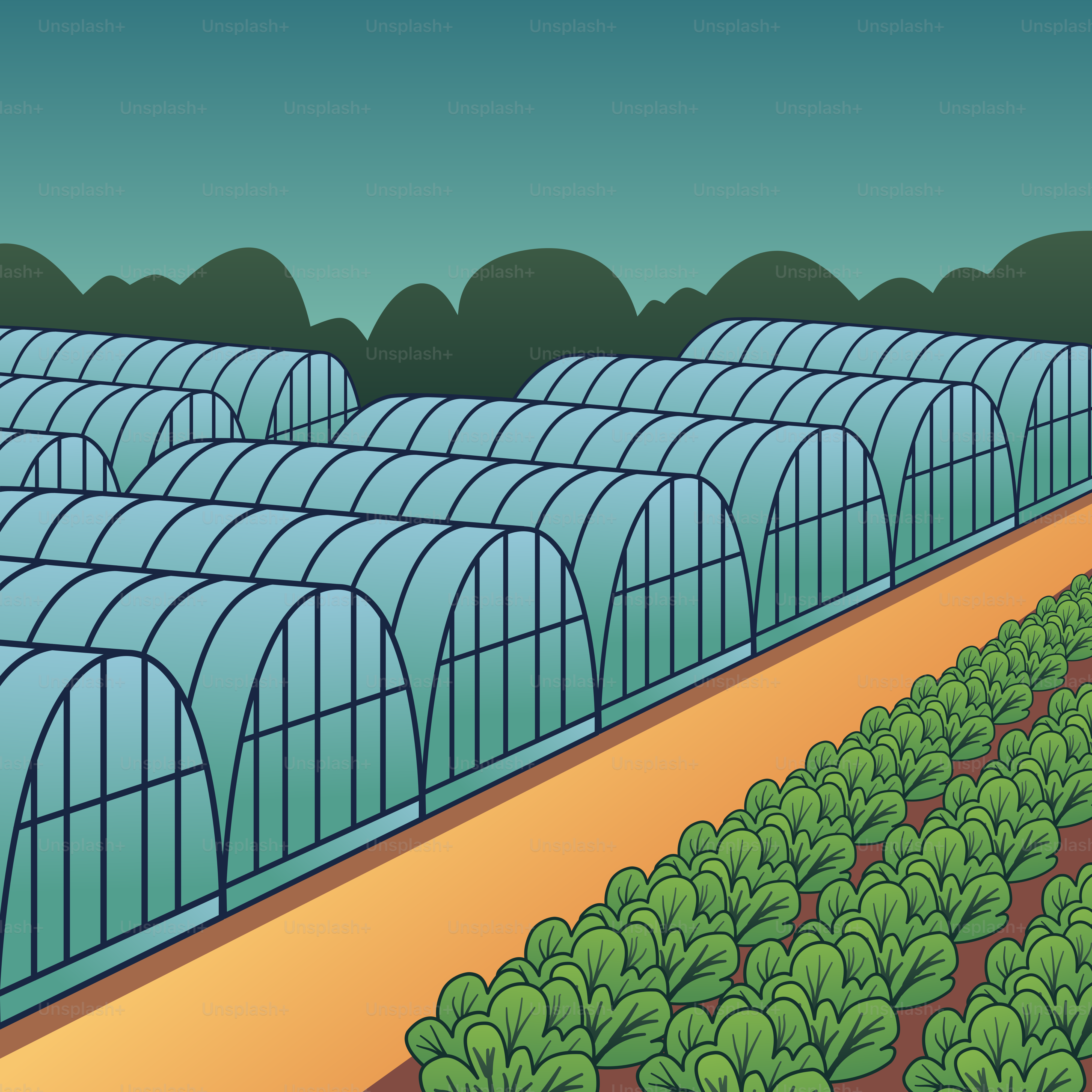 A large greenhouse filled with lots of green plants