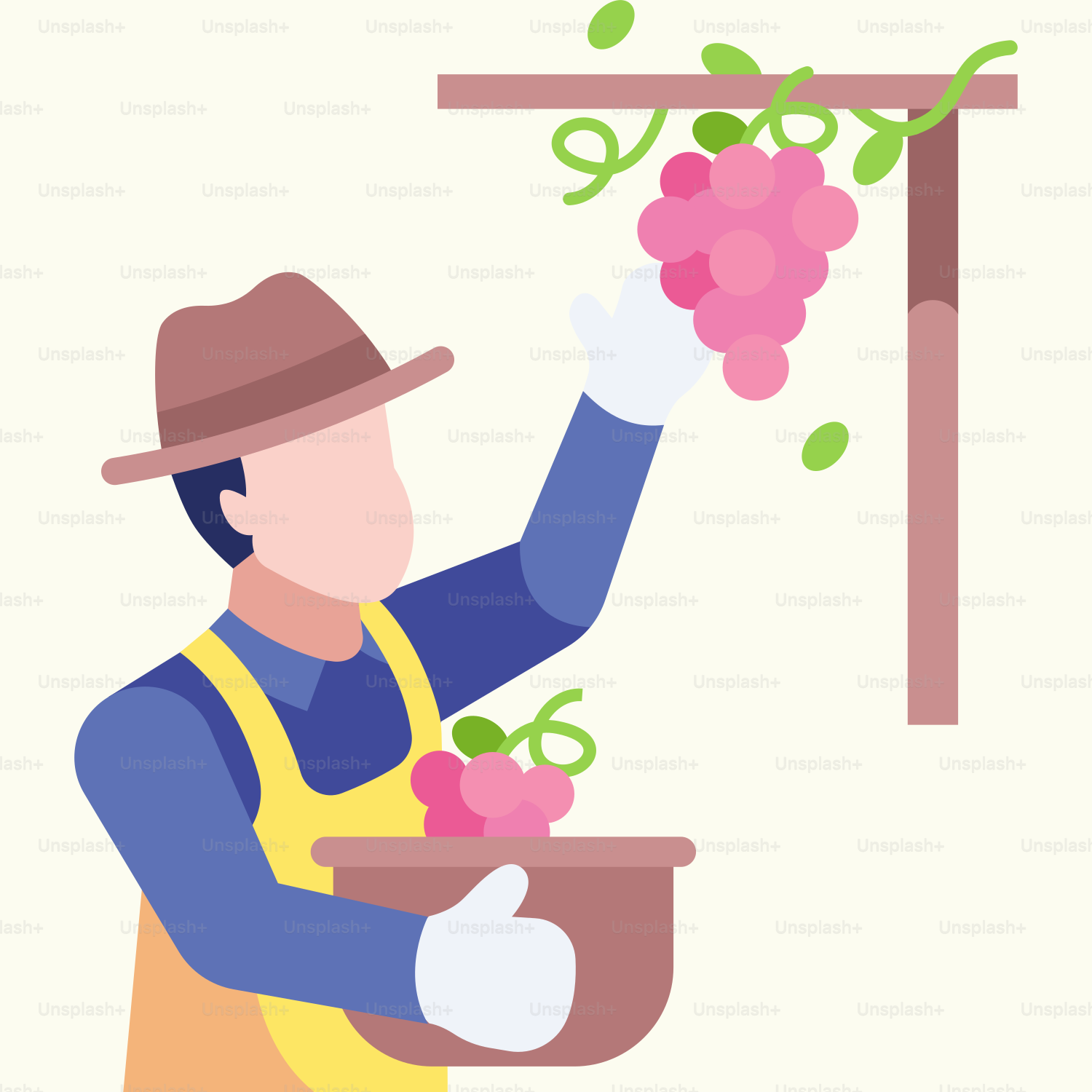 A man in a hat and apron holding a bowl of grapes