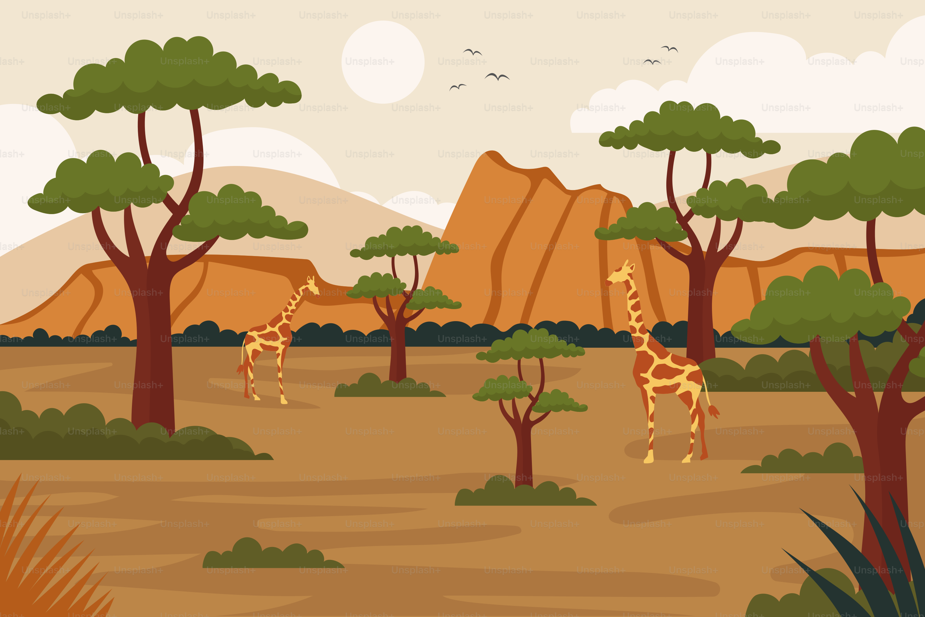 Giraffes are walking through a desert landscape