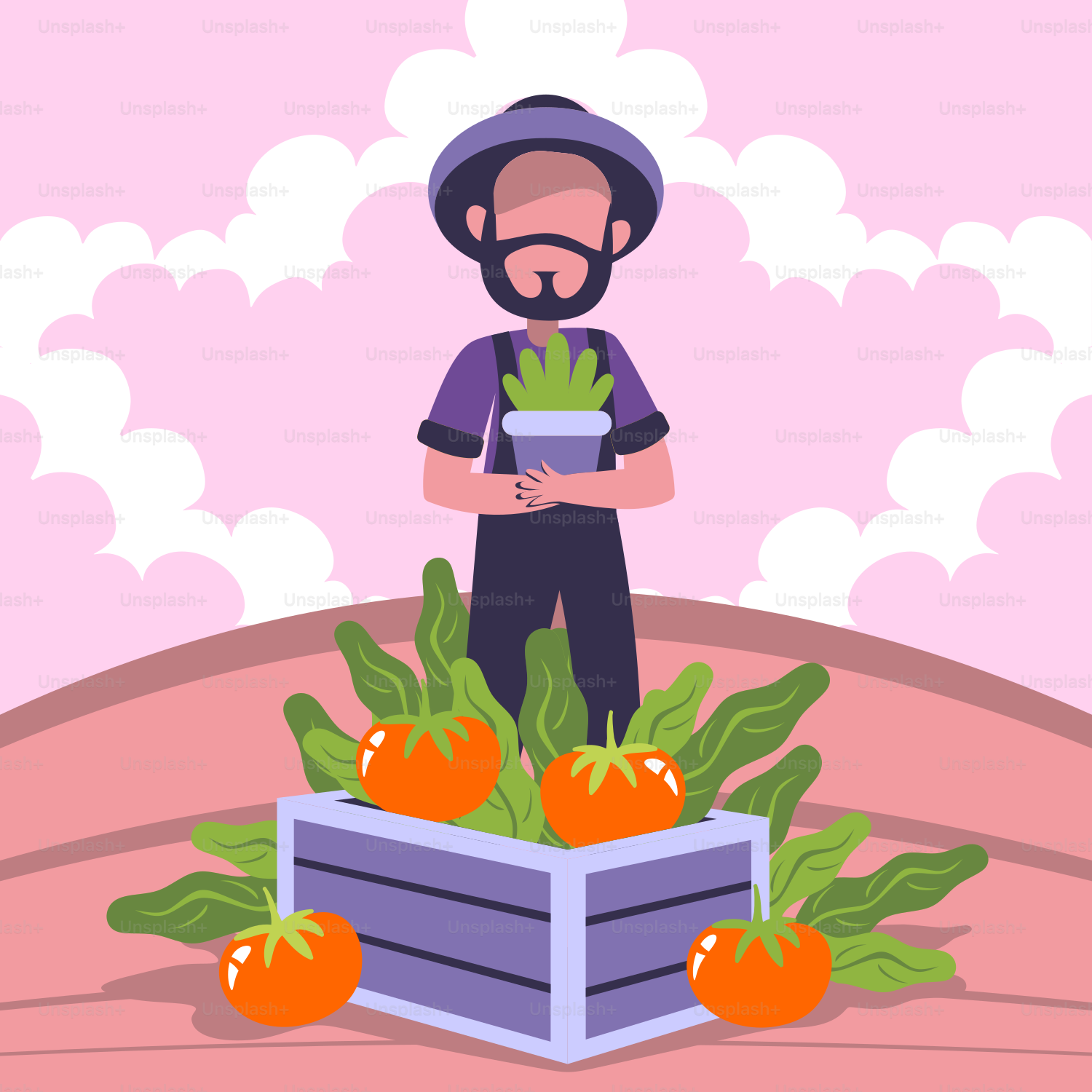 Ein Mann mit Bart steht neben einer Schachtel Tomaten