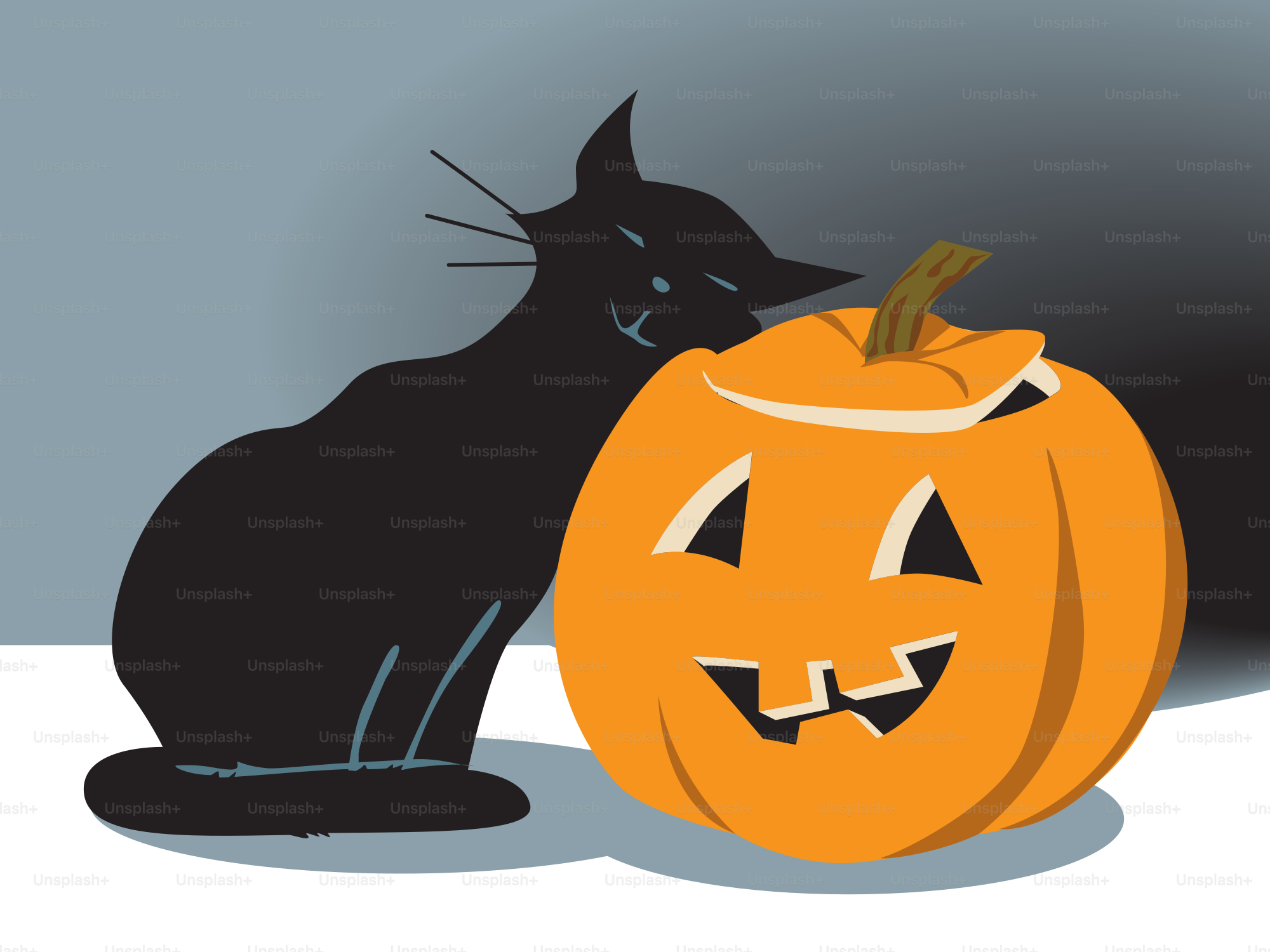 A black cat sitting next to a pumpkin