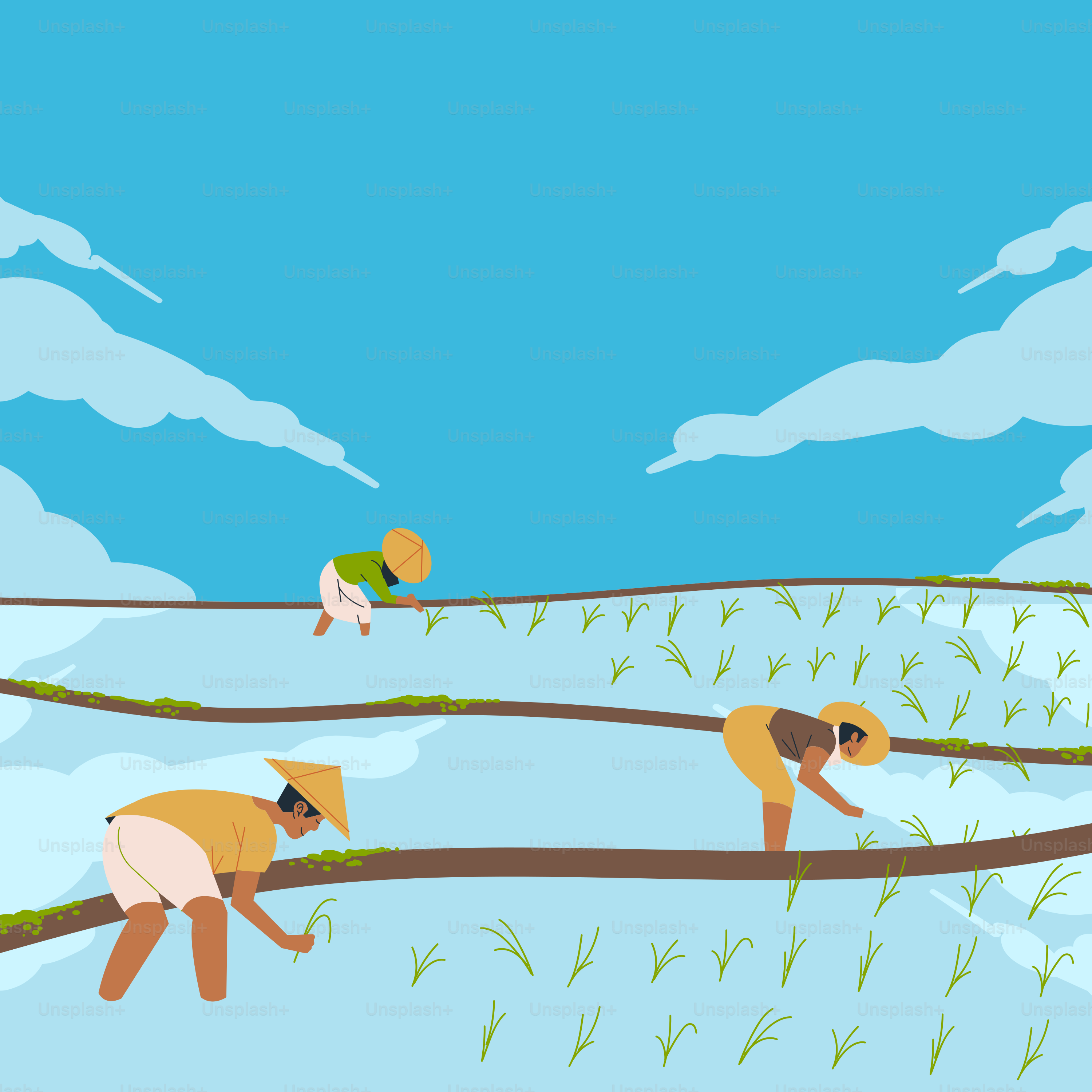 Un gruppo di persone che attraversa un campo coperto di neve