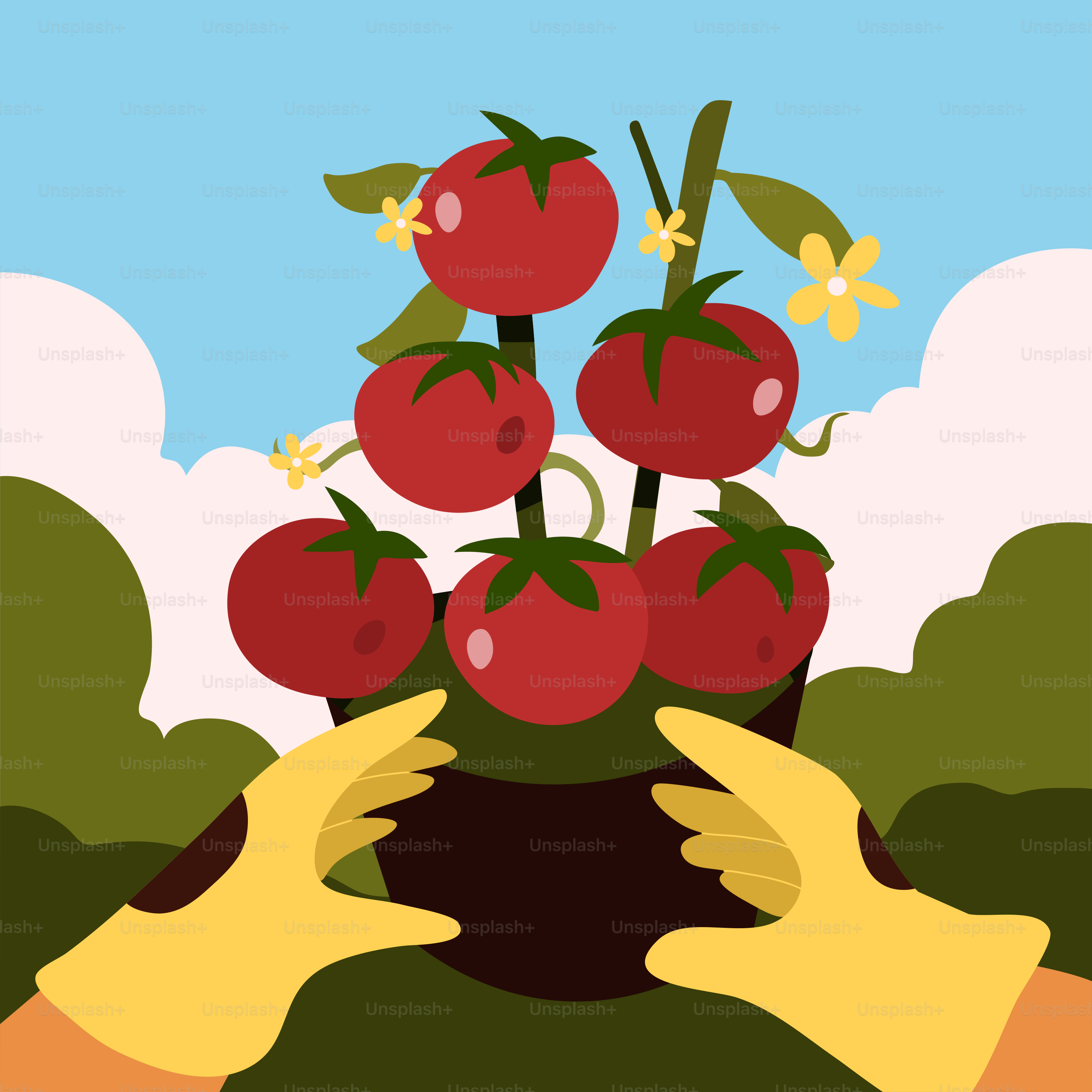 Une personne tenant un bouquet de tomates dans ses mains