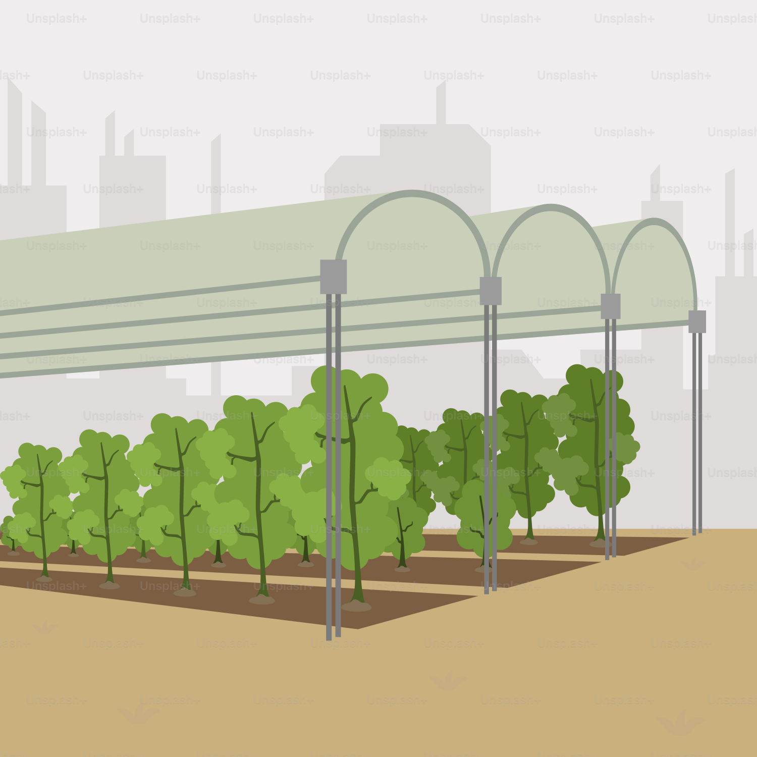 A row of trees with a city in the background