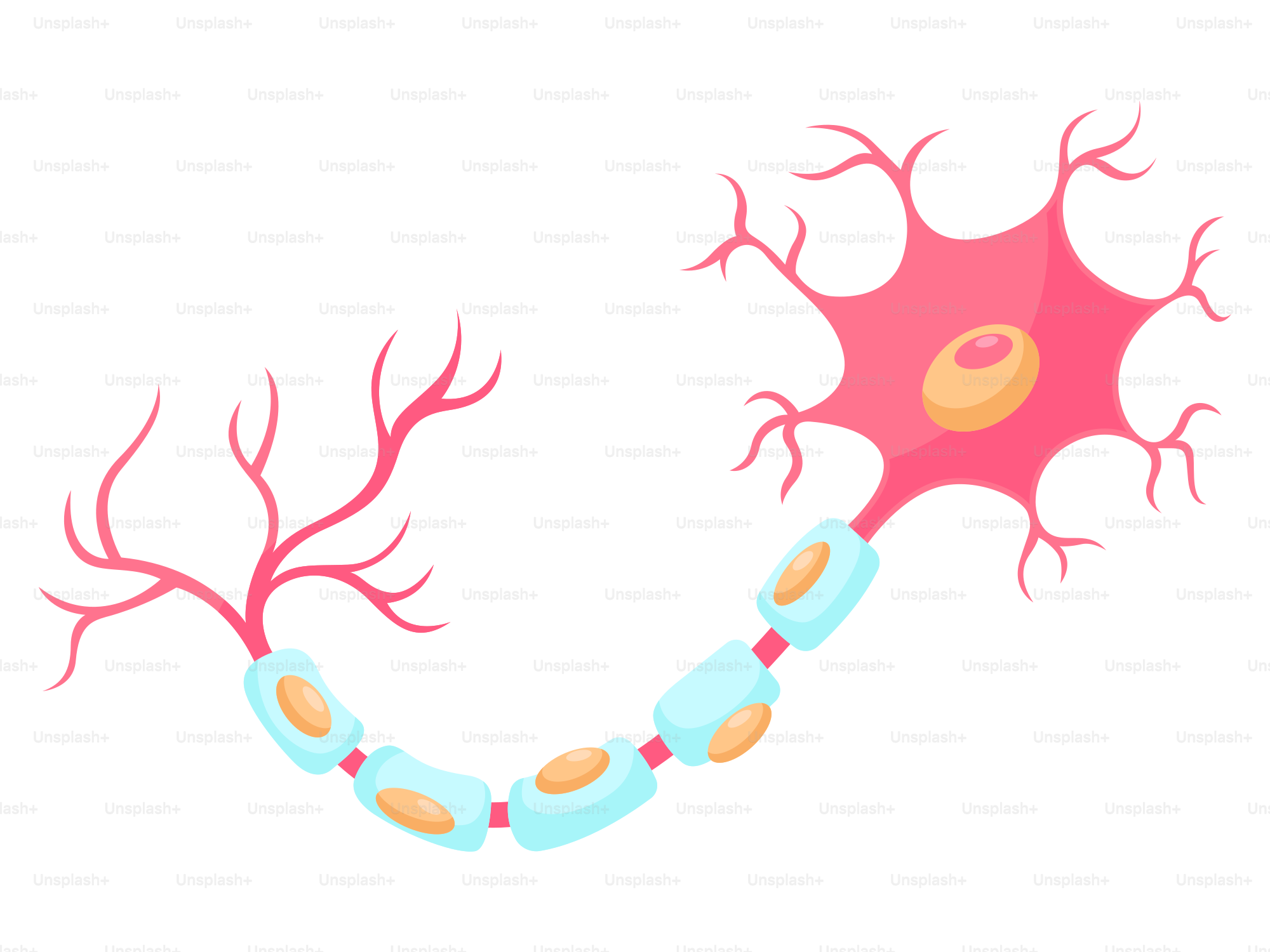 ネマティックセルとネマティックセルの図