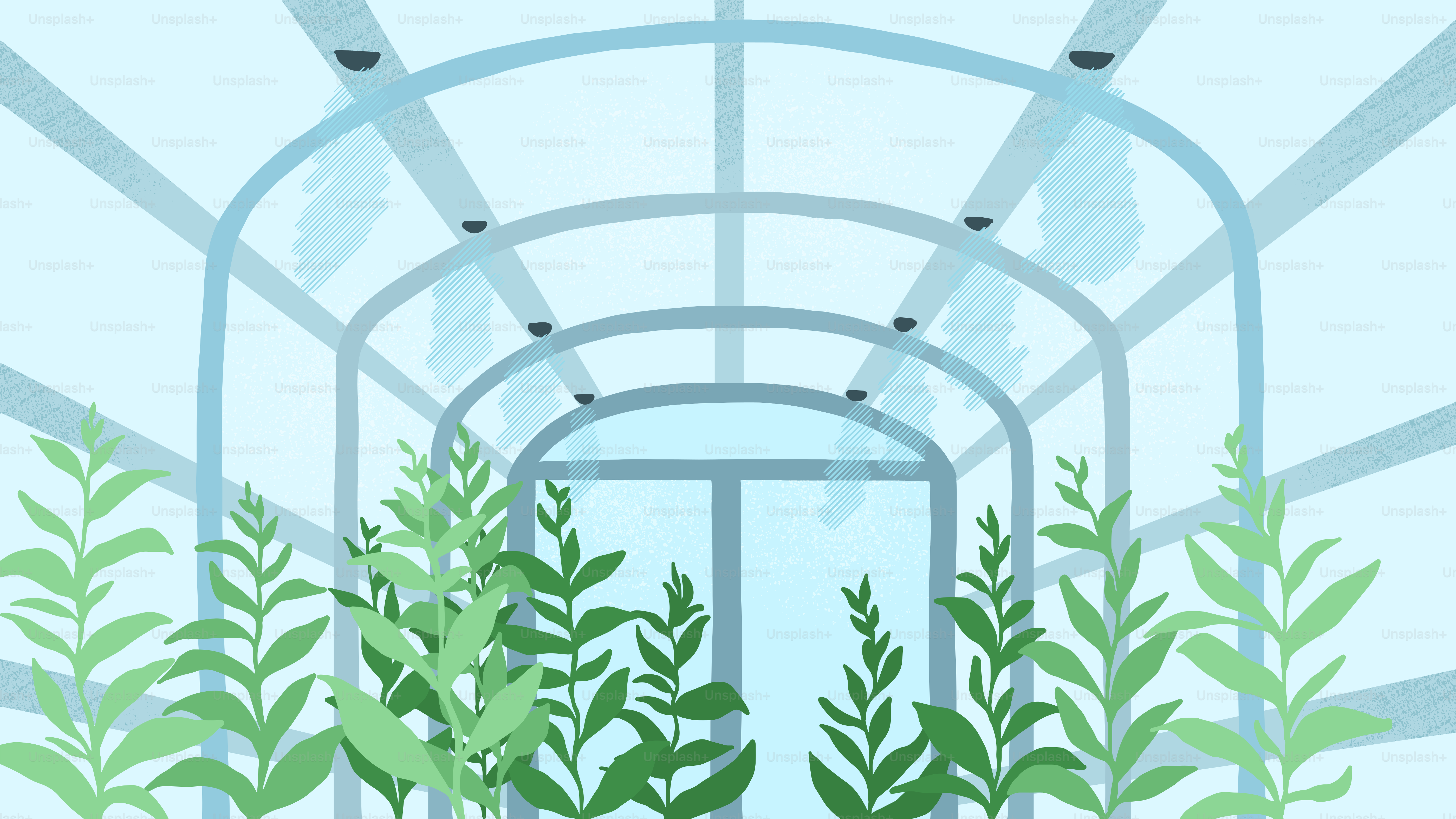 A picture of a room with plants inside of it