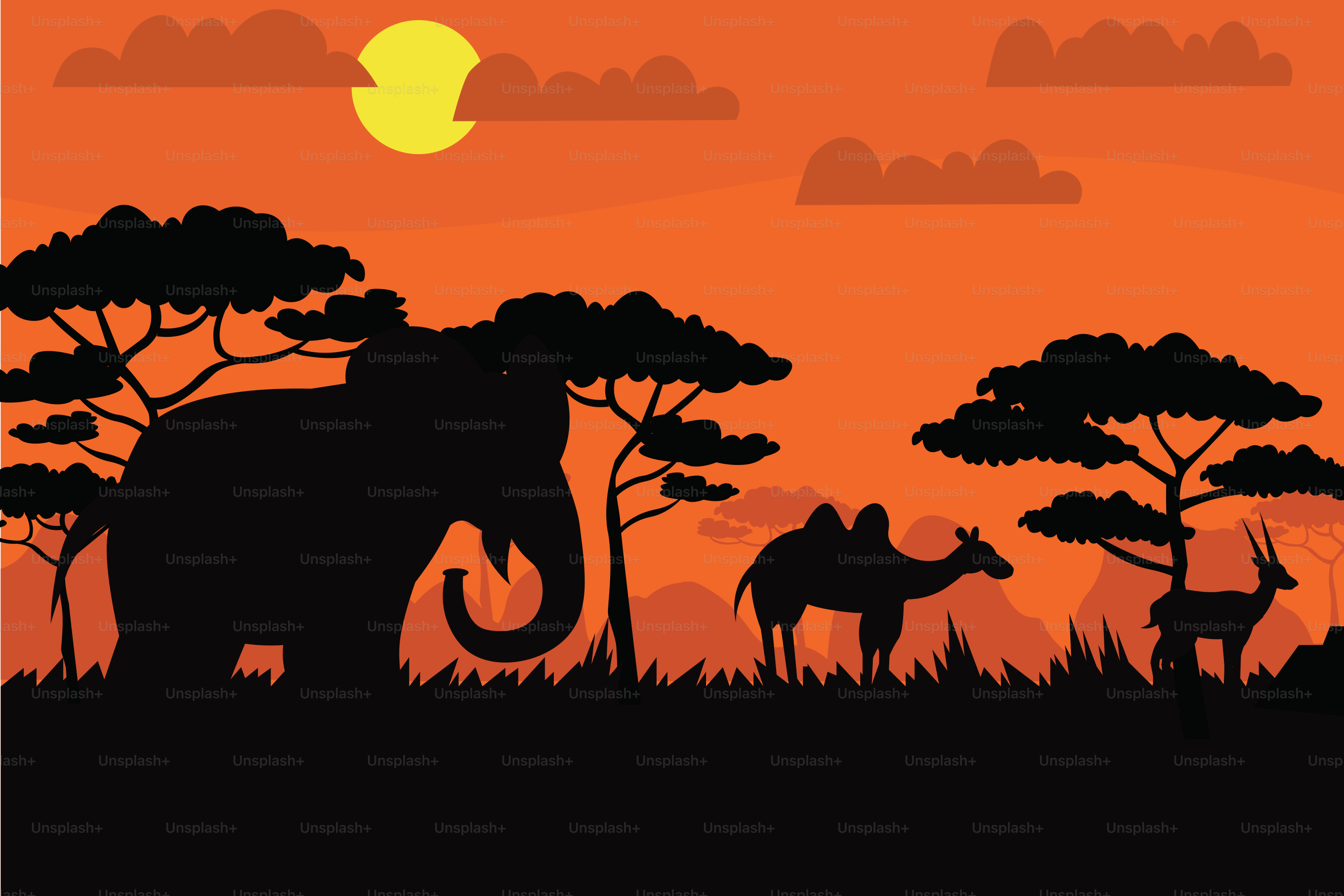 Eine Gruppe von Tieren, die auf einem grasbewachsenen Feld stehen