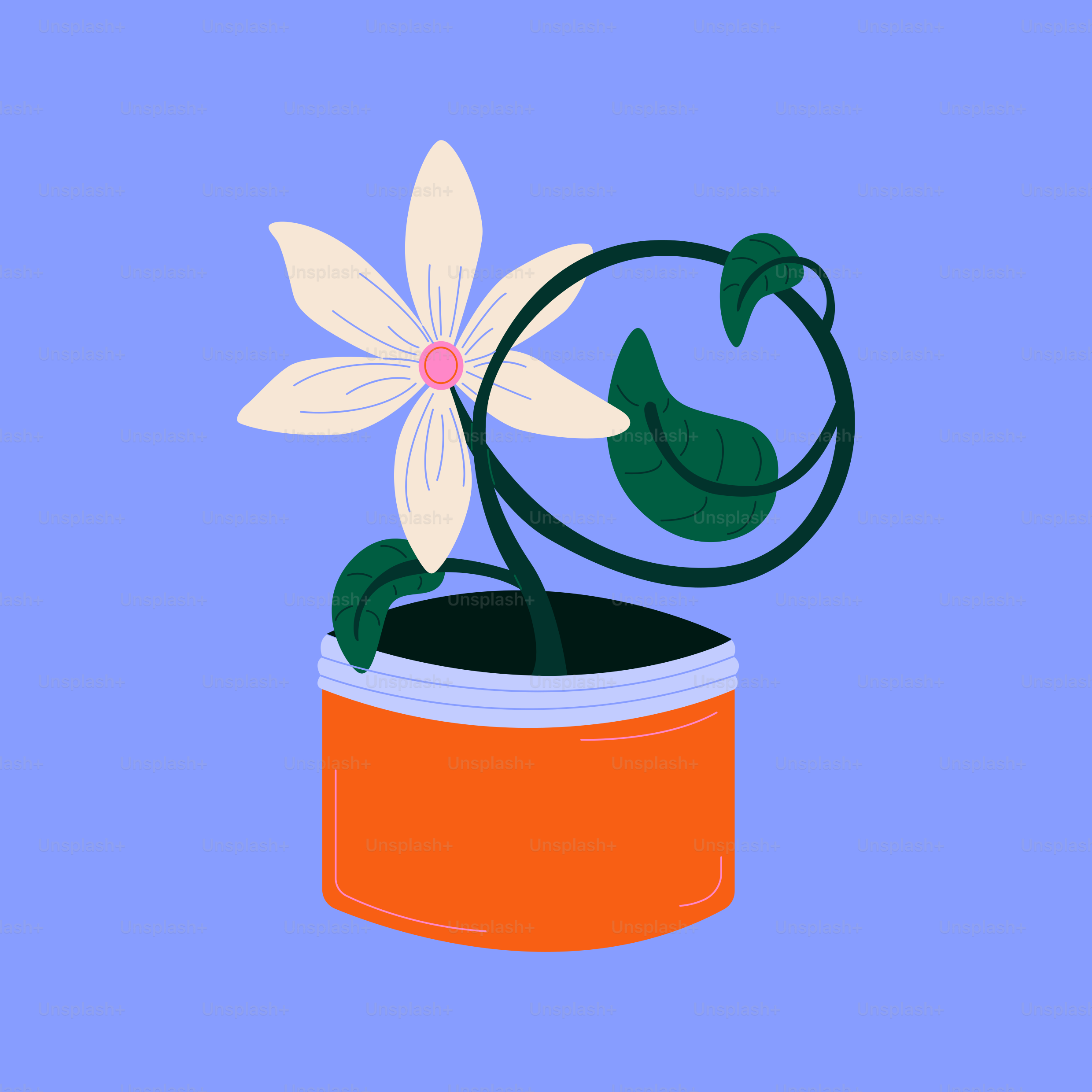 A flower in a pot with a blue background