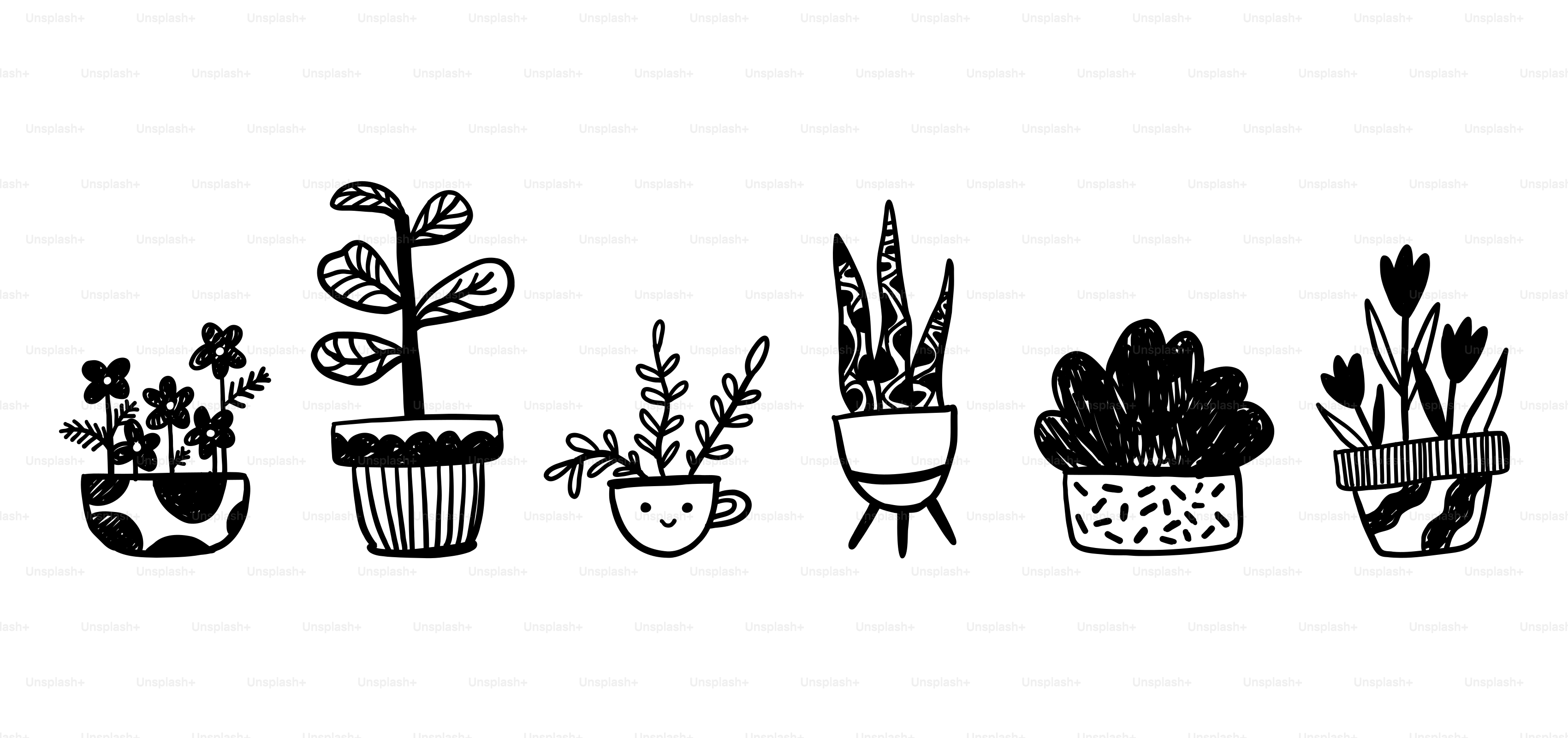 Una linea di piante in vaso su sfondo bianco