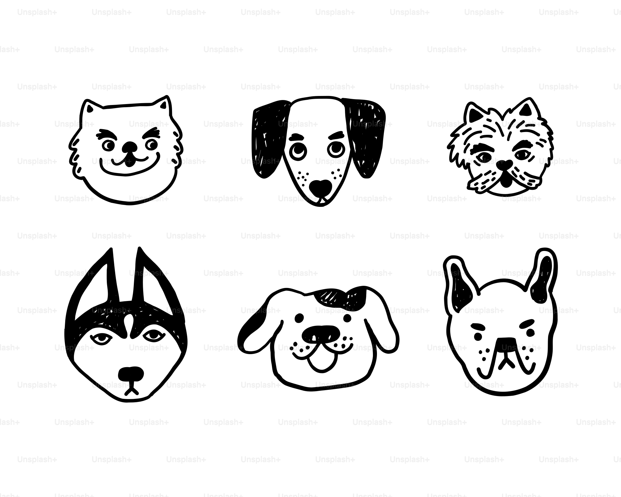 Eine Zeichnung von drei Hunden mit unterschiedlichen Gesichtsausdrücken  Vektor – Bild zum Thema Tier auf Unsplash, image size:3000x2400