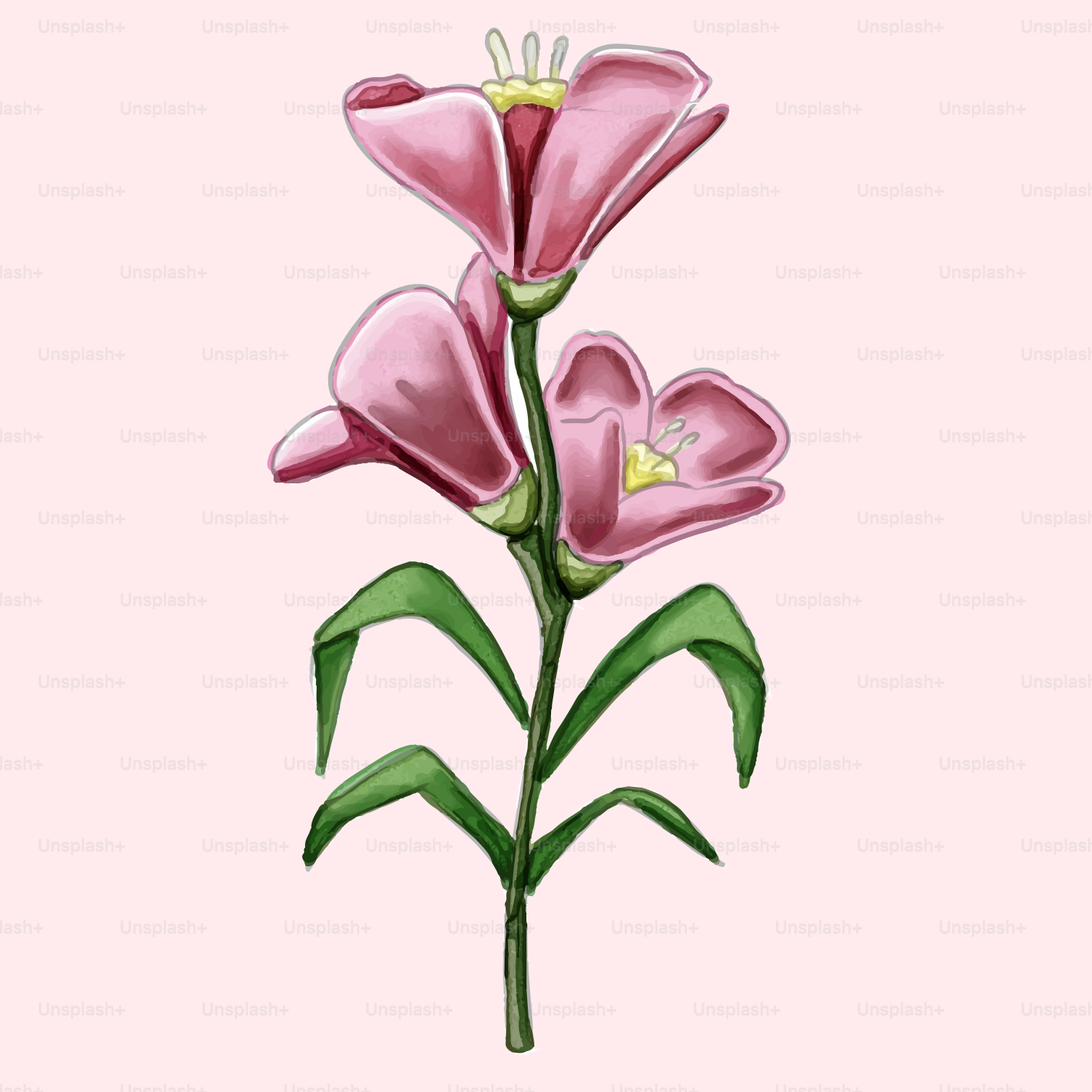 A pink flower with green leaves on a pink background
