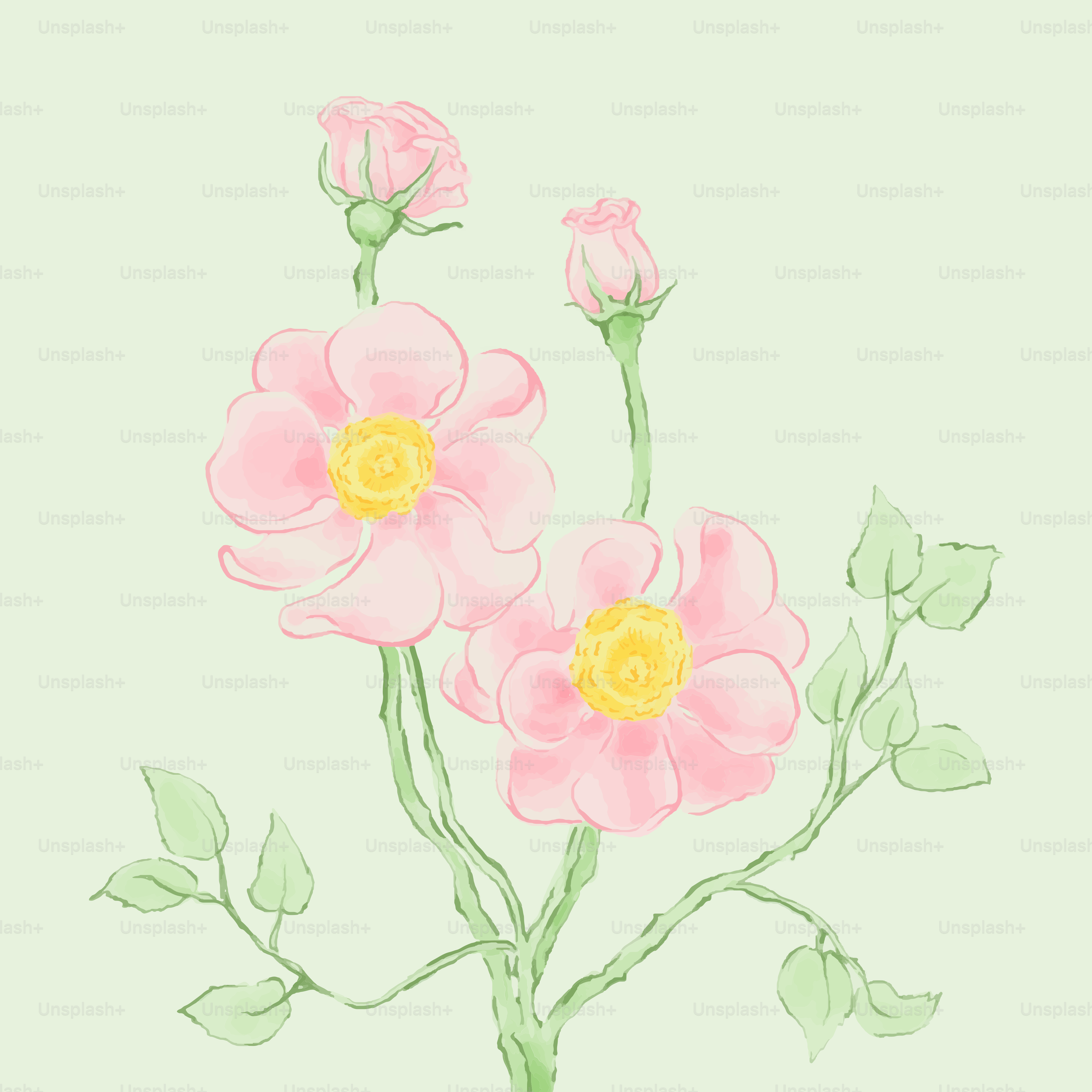 緑の背景にピンクの花の絵