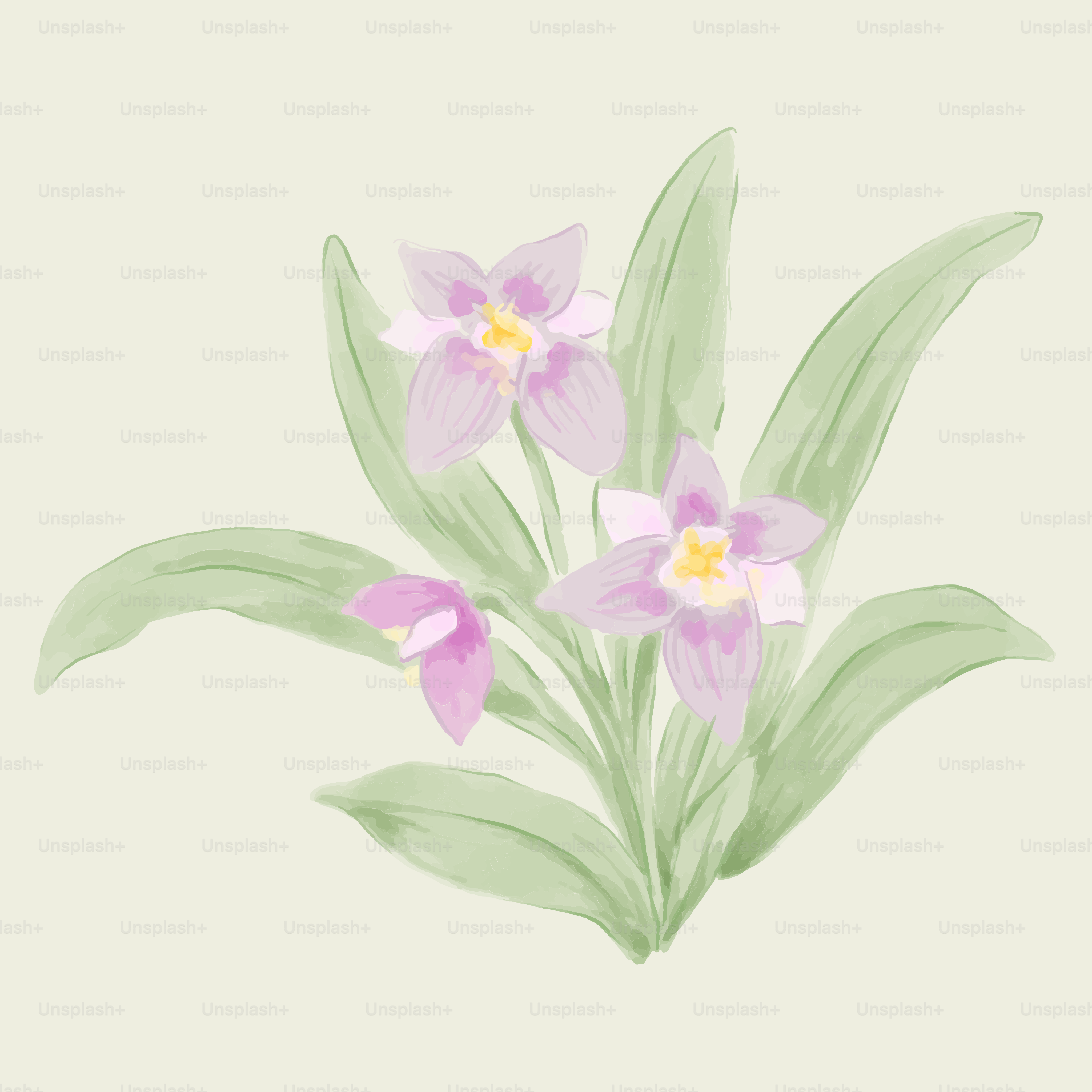 Una foto de unas flores sobre un fondo blanco