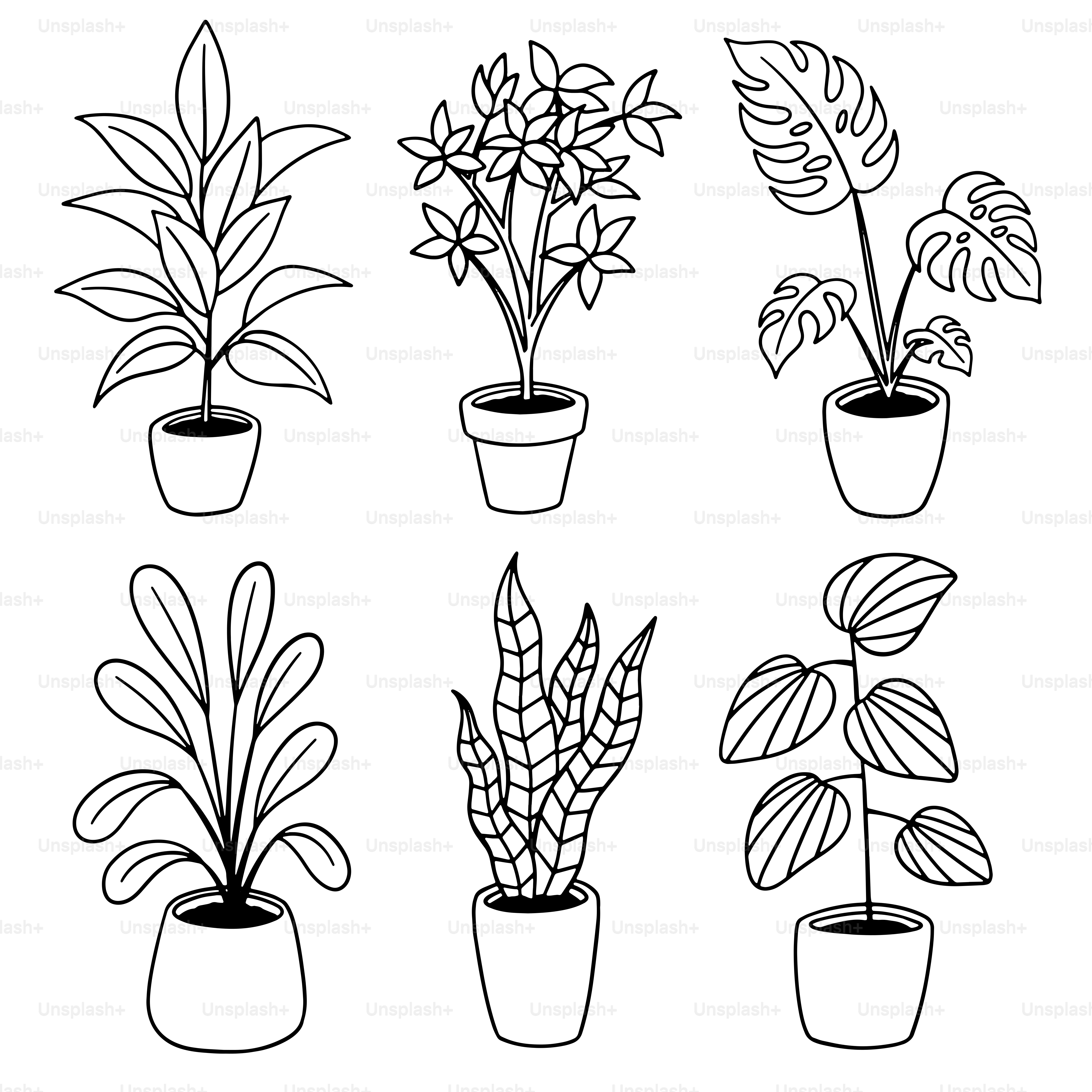 A line drawing of potted plants on a white background