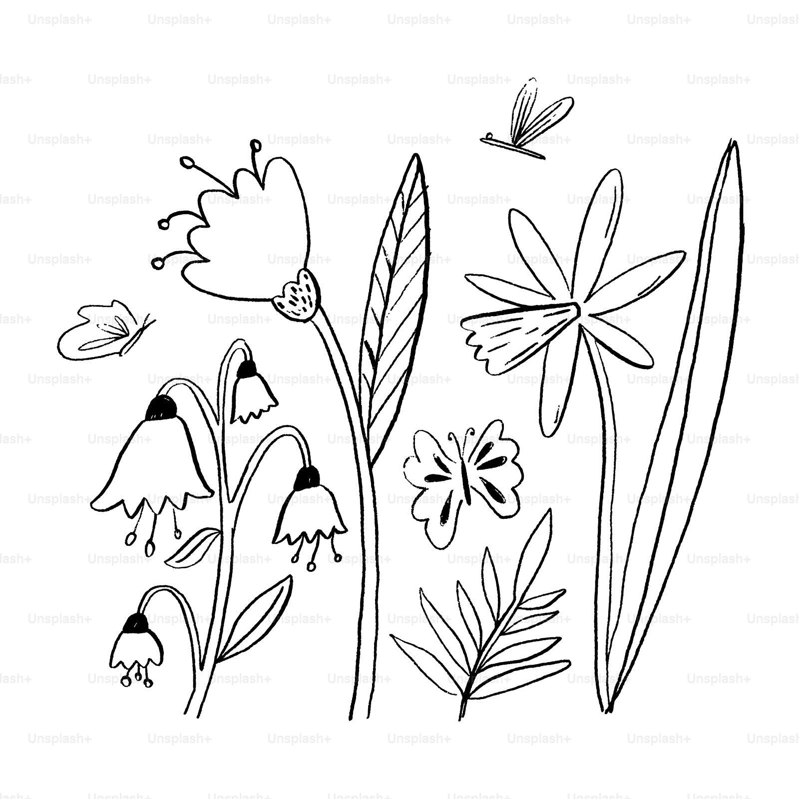 A black and white drawing of flowers and dragonflies