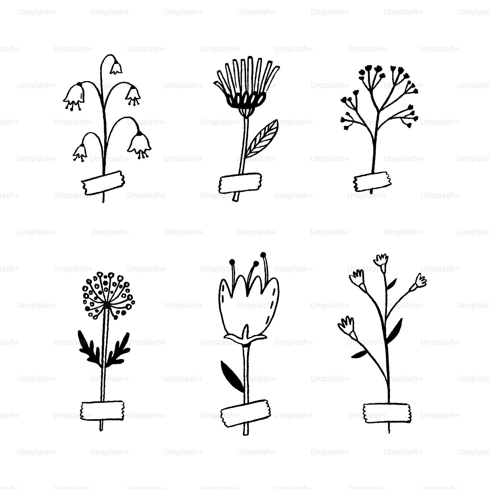 A bunch of flowers that are drawn in a line