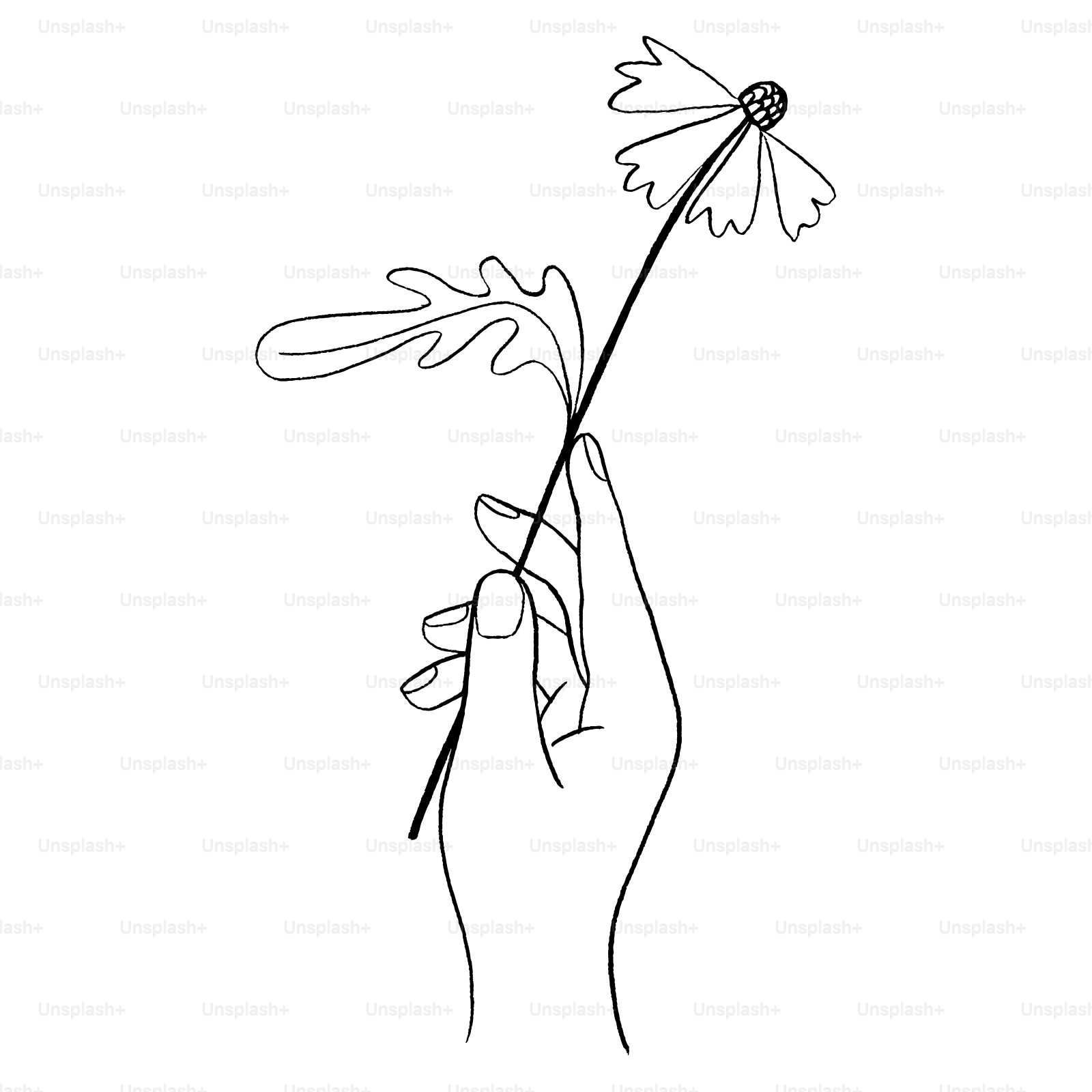 A person holding a flower in their hand