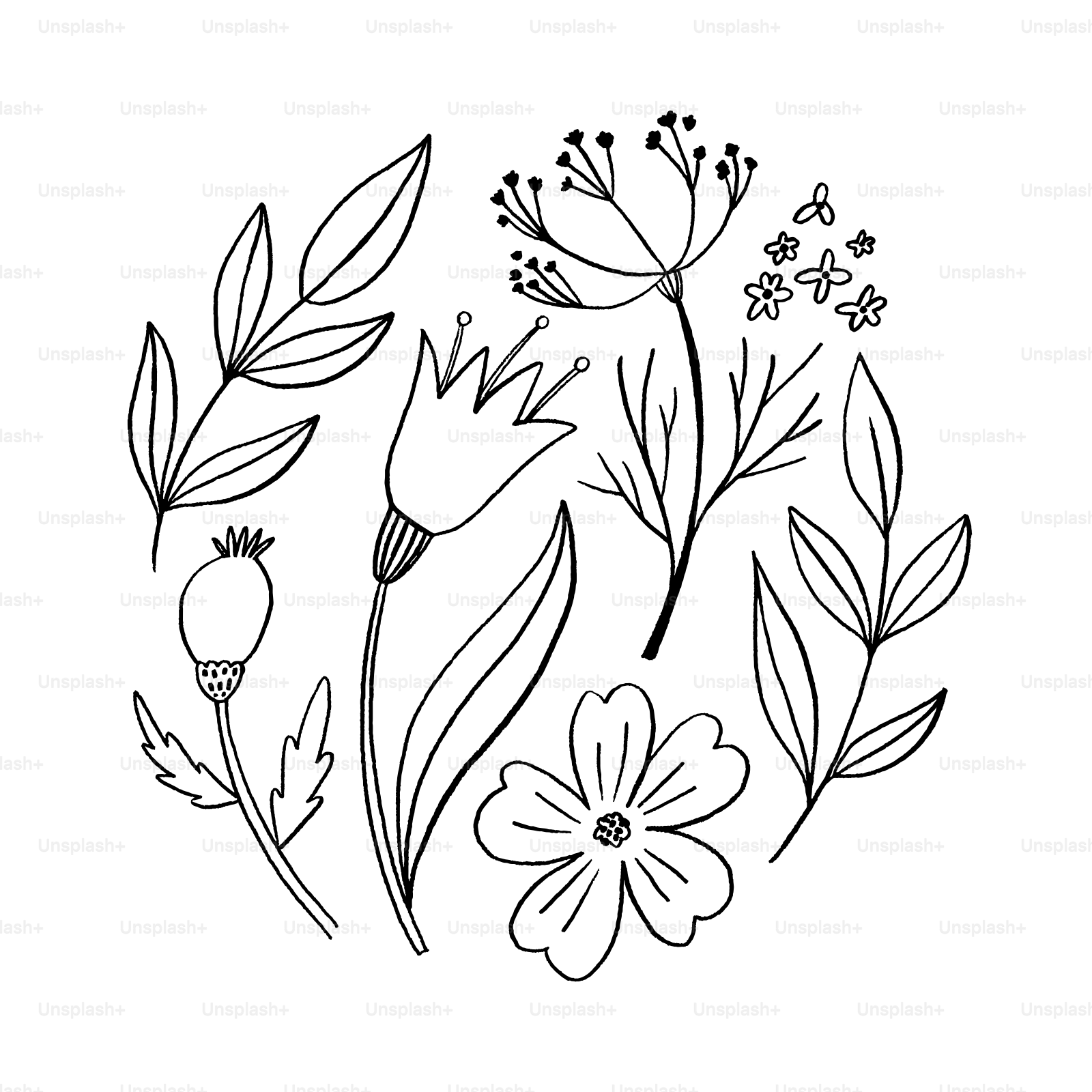 A line drawing of flowers on a white background