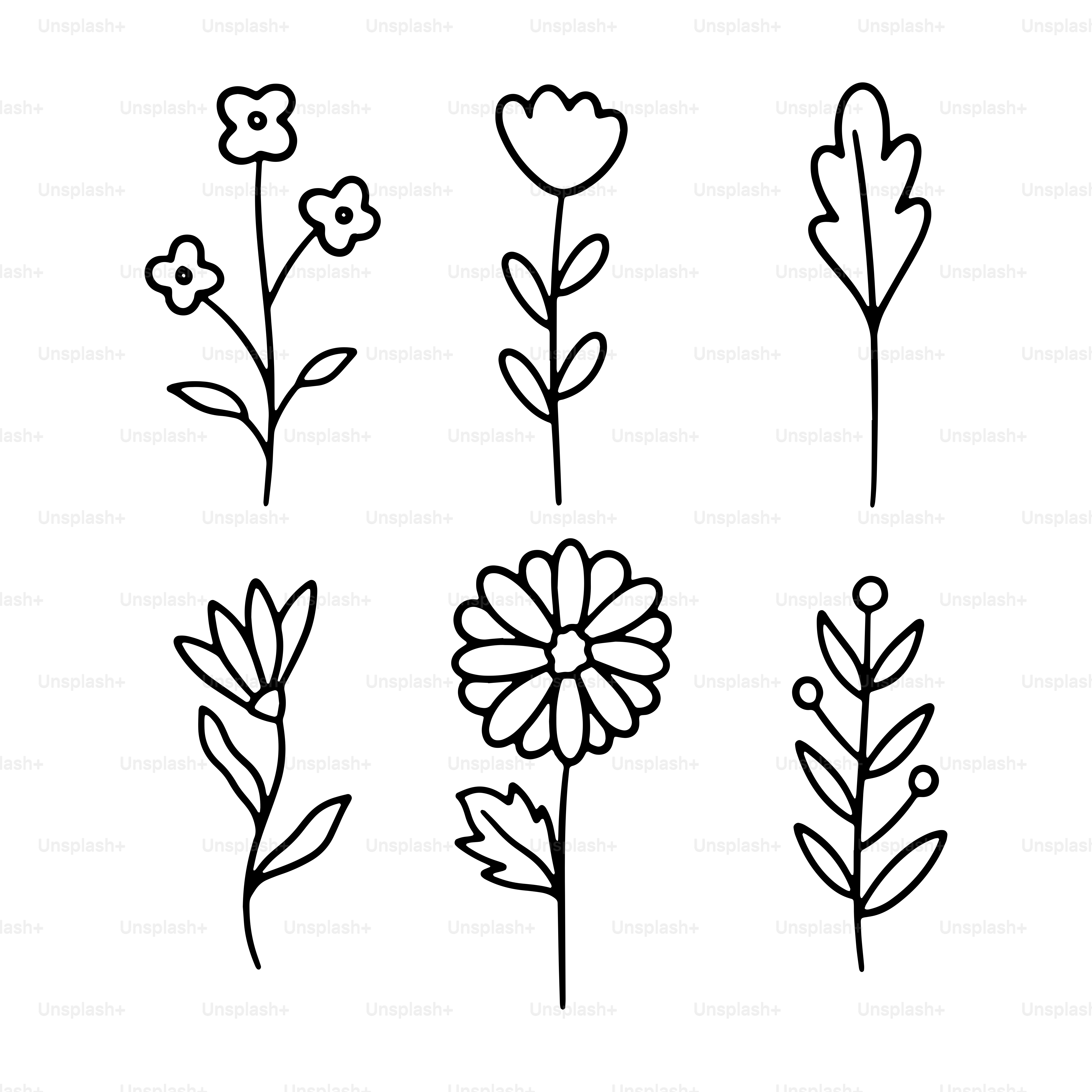 Un dessin au trait de différents types de fleurs