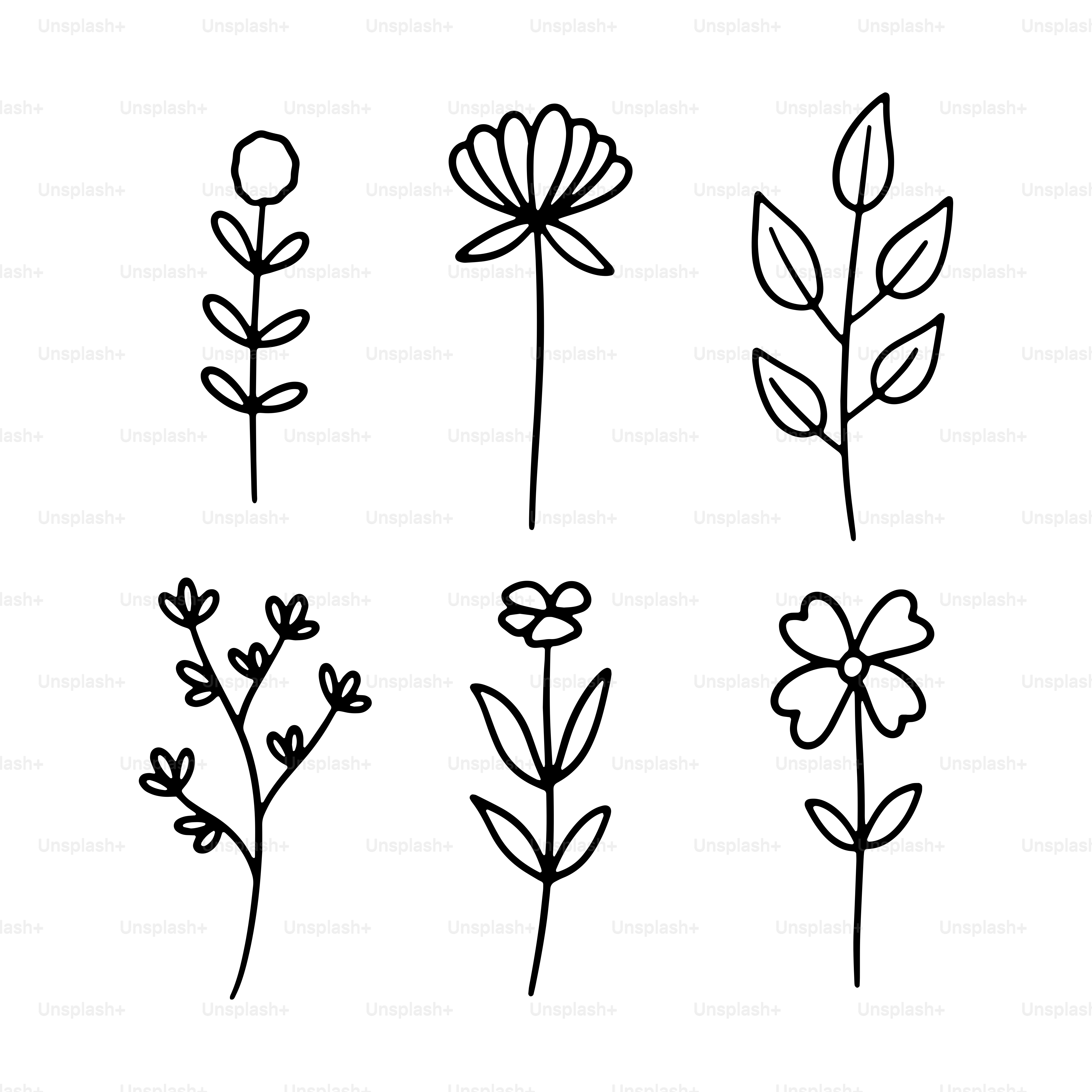 A line drawing of different types of flowers vector – Flower Image on  Unsplash, image size:3000x3000