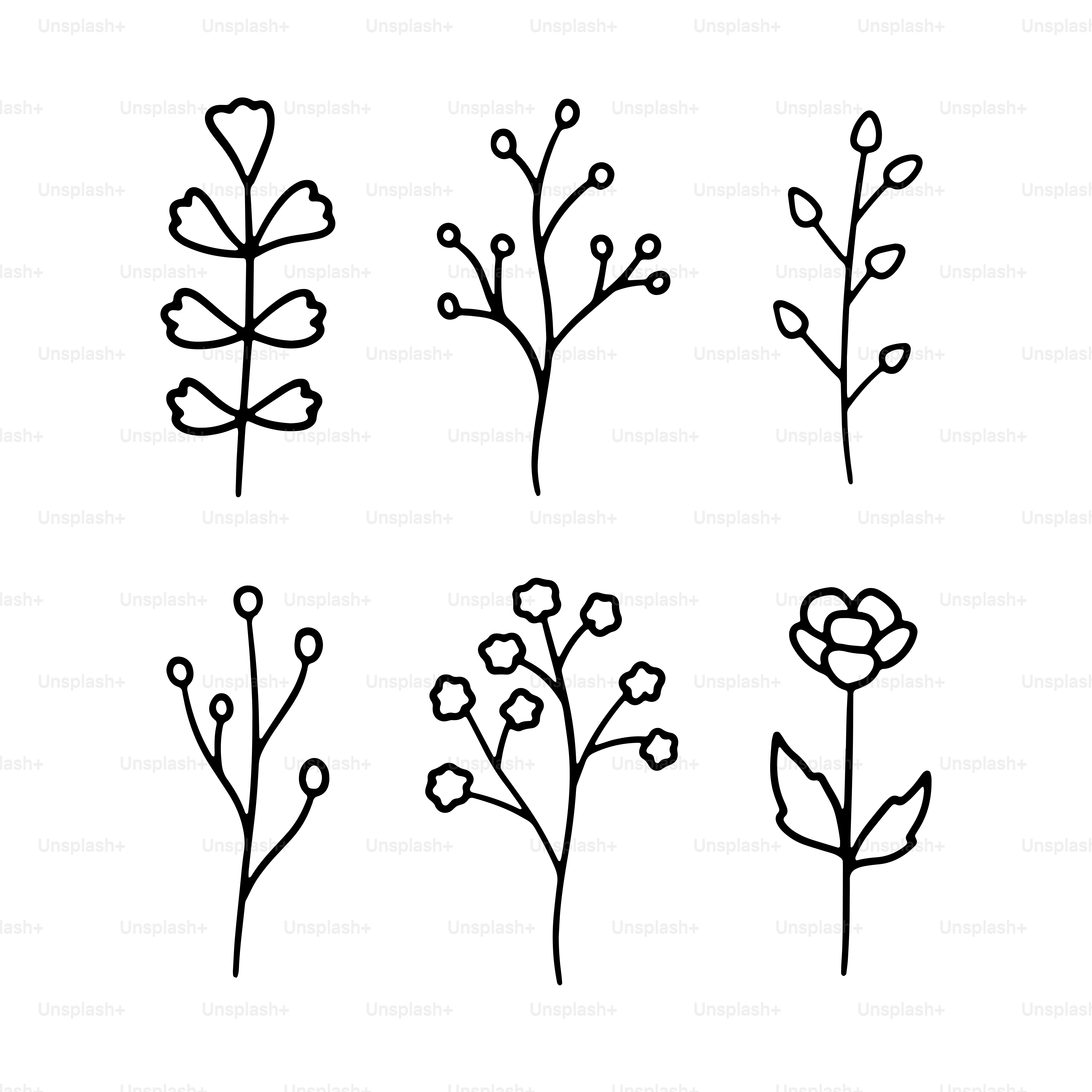 A line drawing of different types of flowers