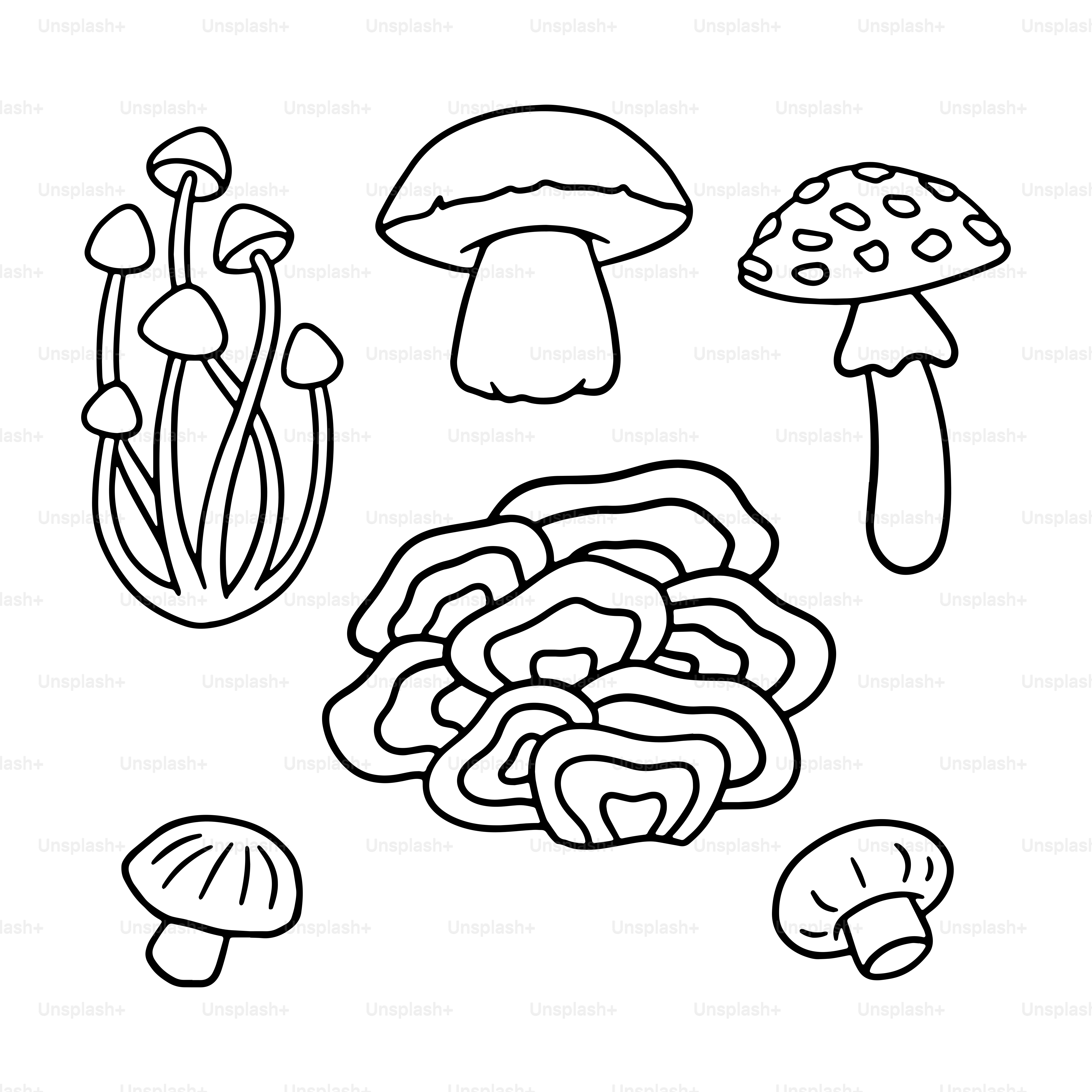 A black and white drawing of mushrooms