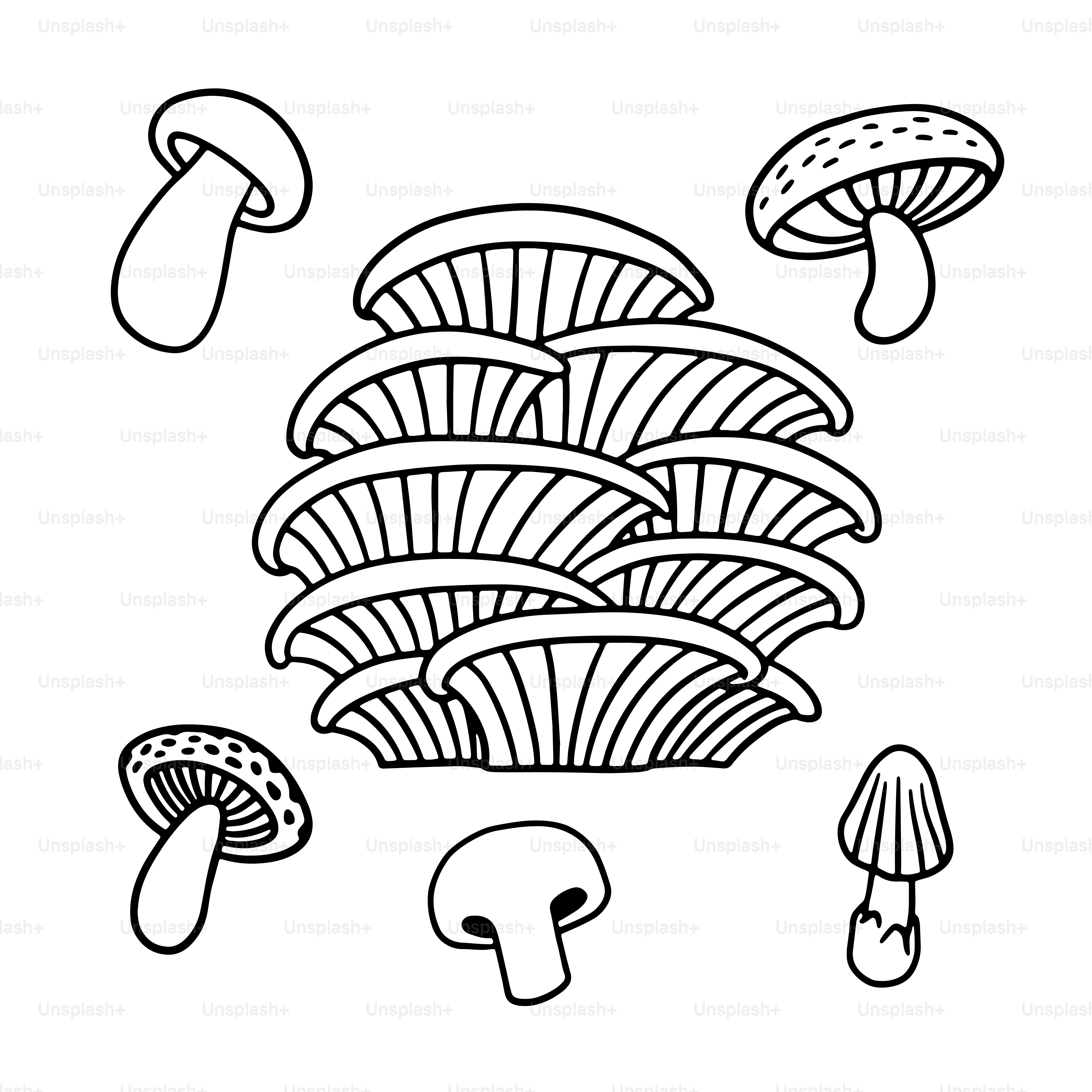 A black and white drawing of mushrooms