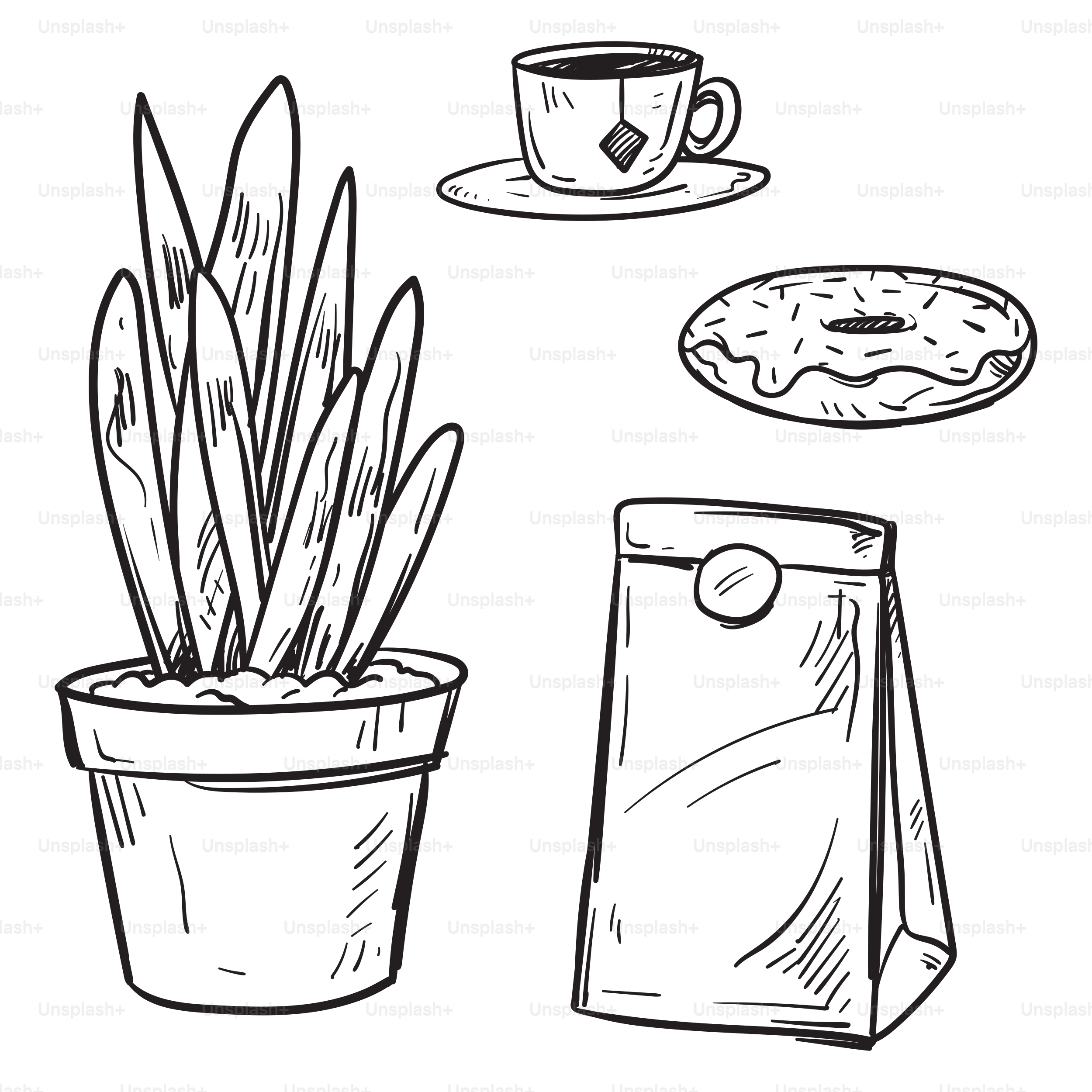 A potted plant next to a bag of coffee and a donut