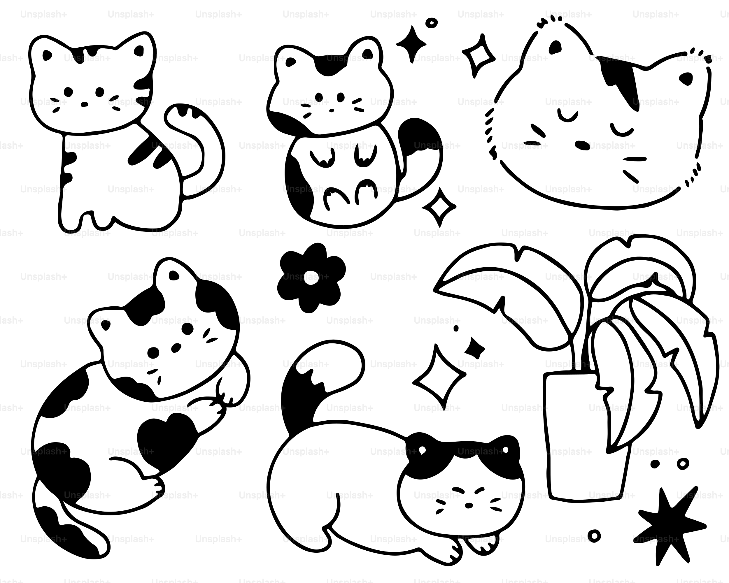 고양이와 꽃을 그린 흑백 그림